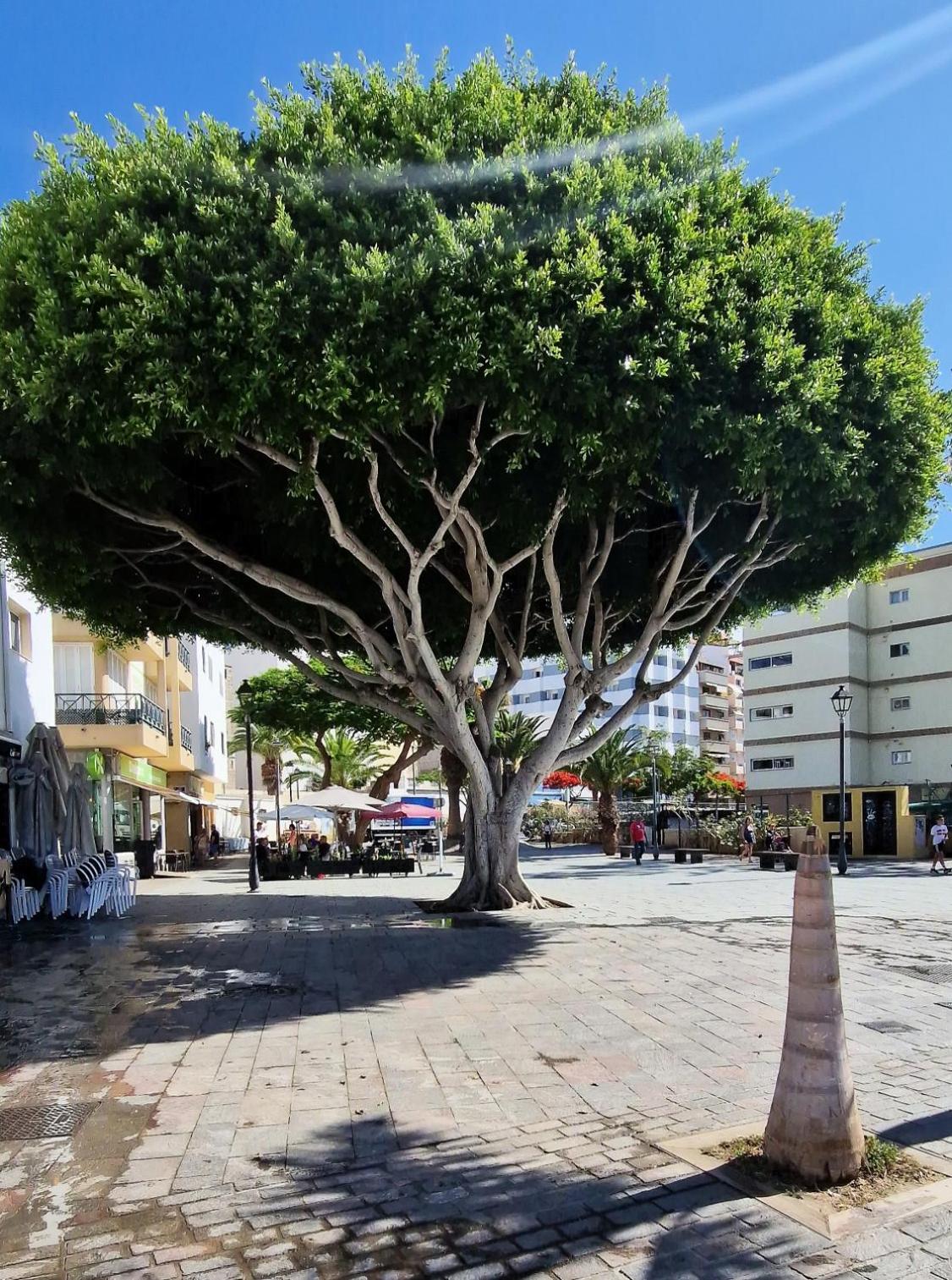 Torres Del Sol Luxury Las Americas