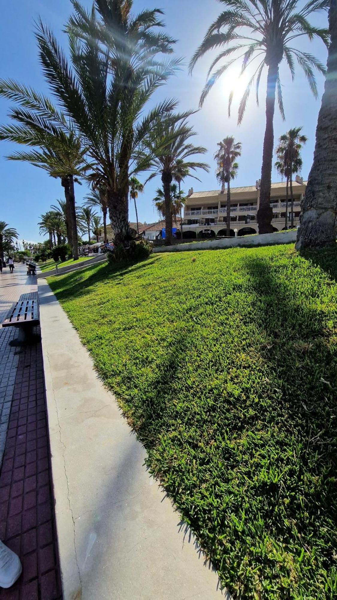Torres Del Sol Luxury Las Americas