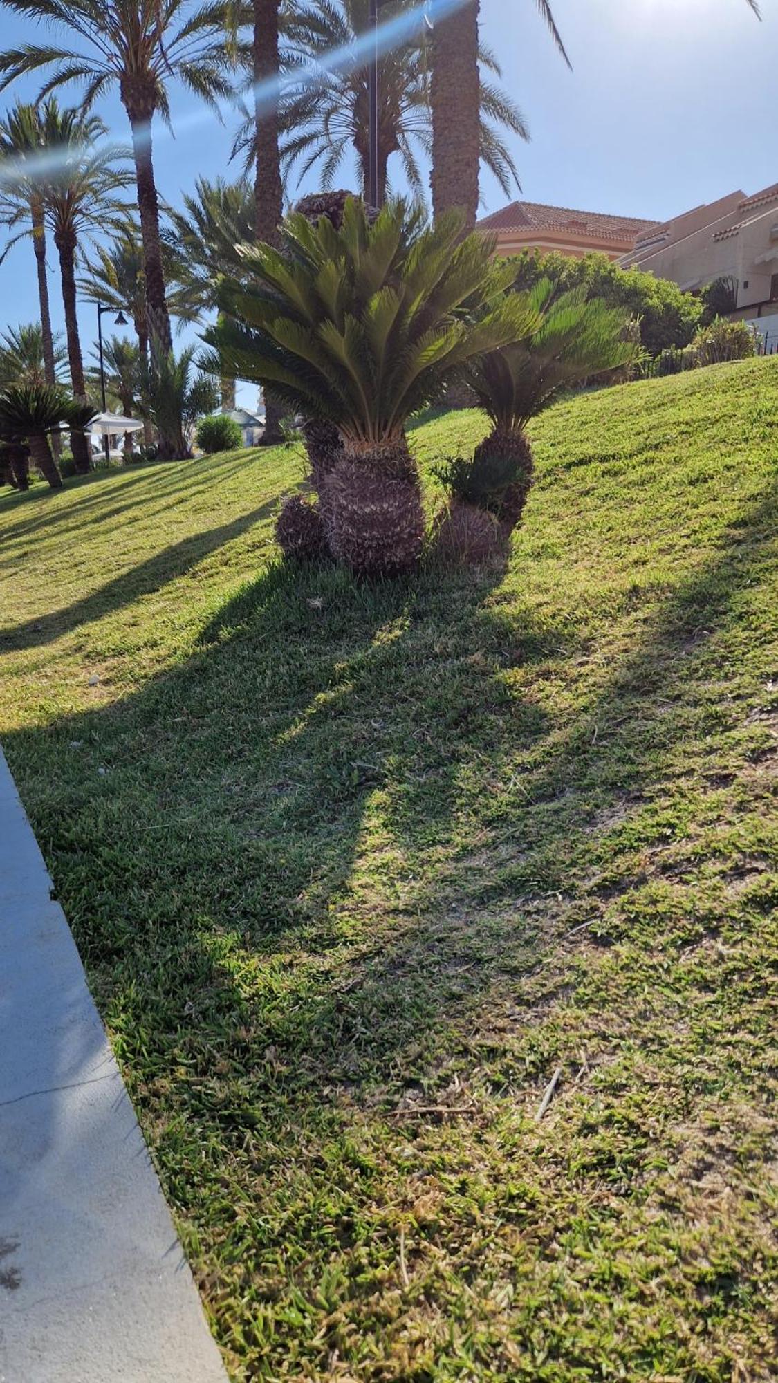 Torres Del Sol Luxury Las Americas