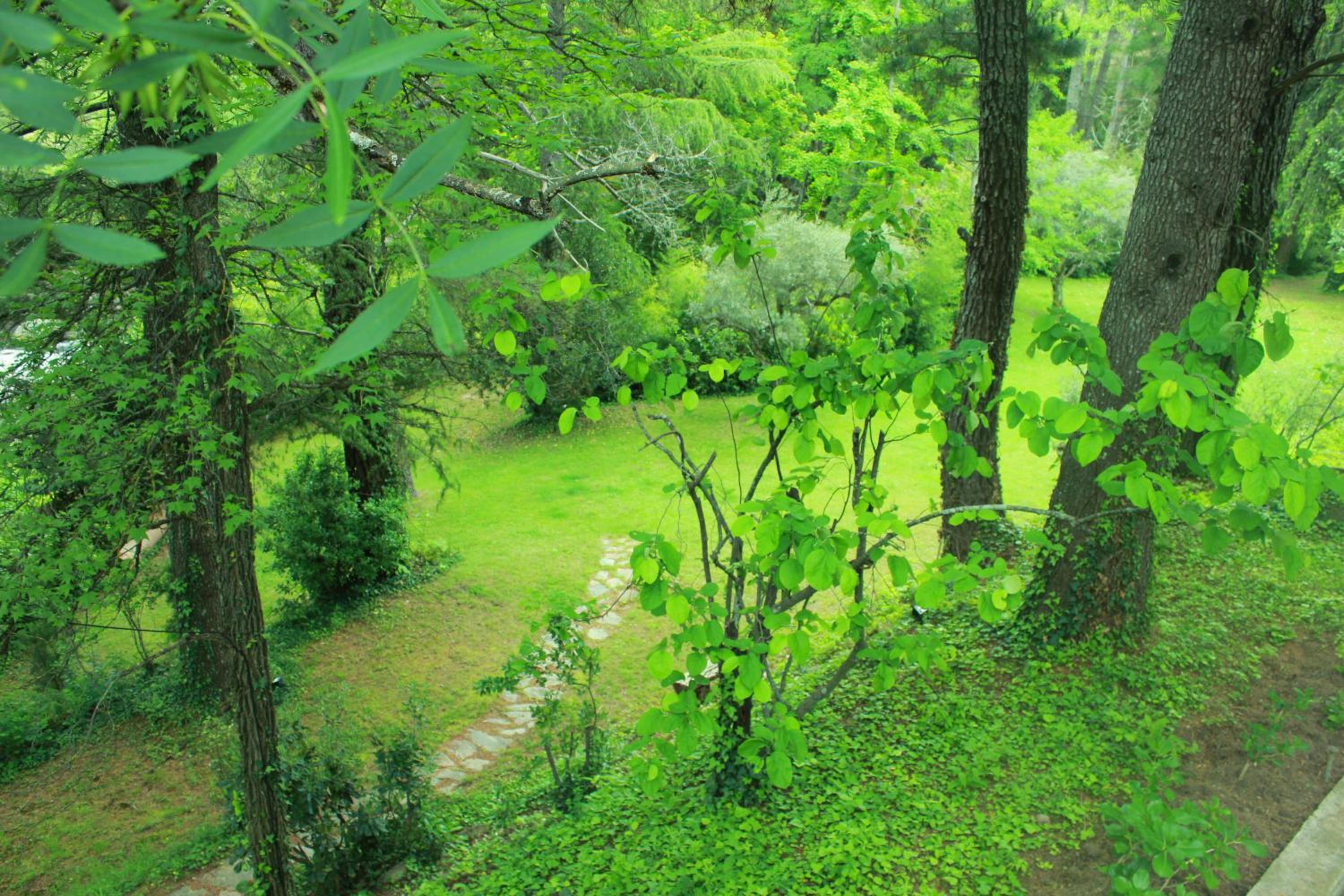 Photo 22