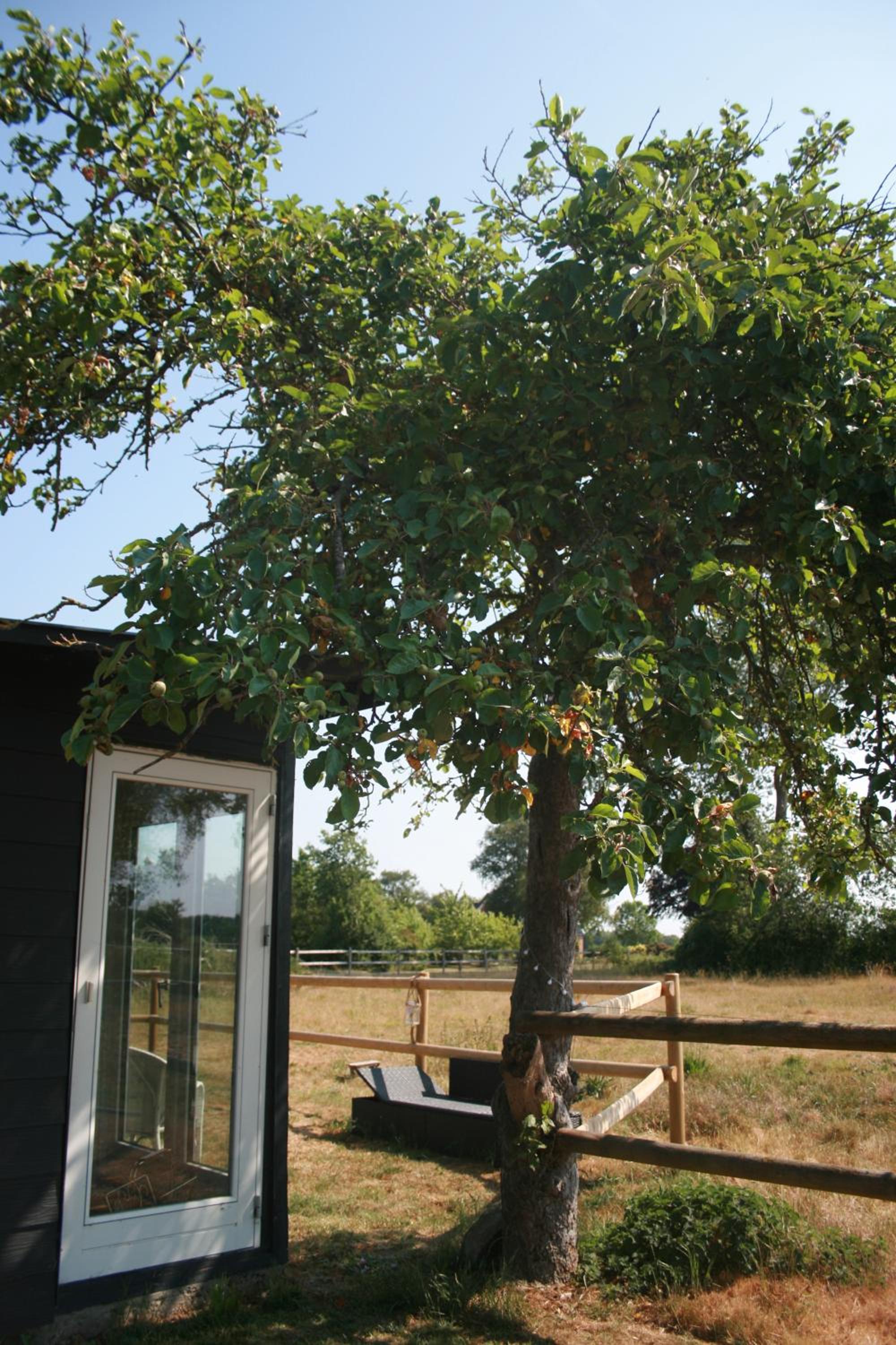 Falsterly Glamping