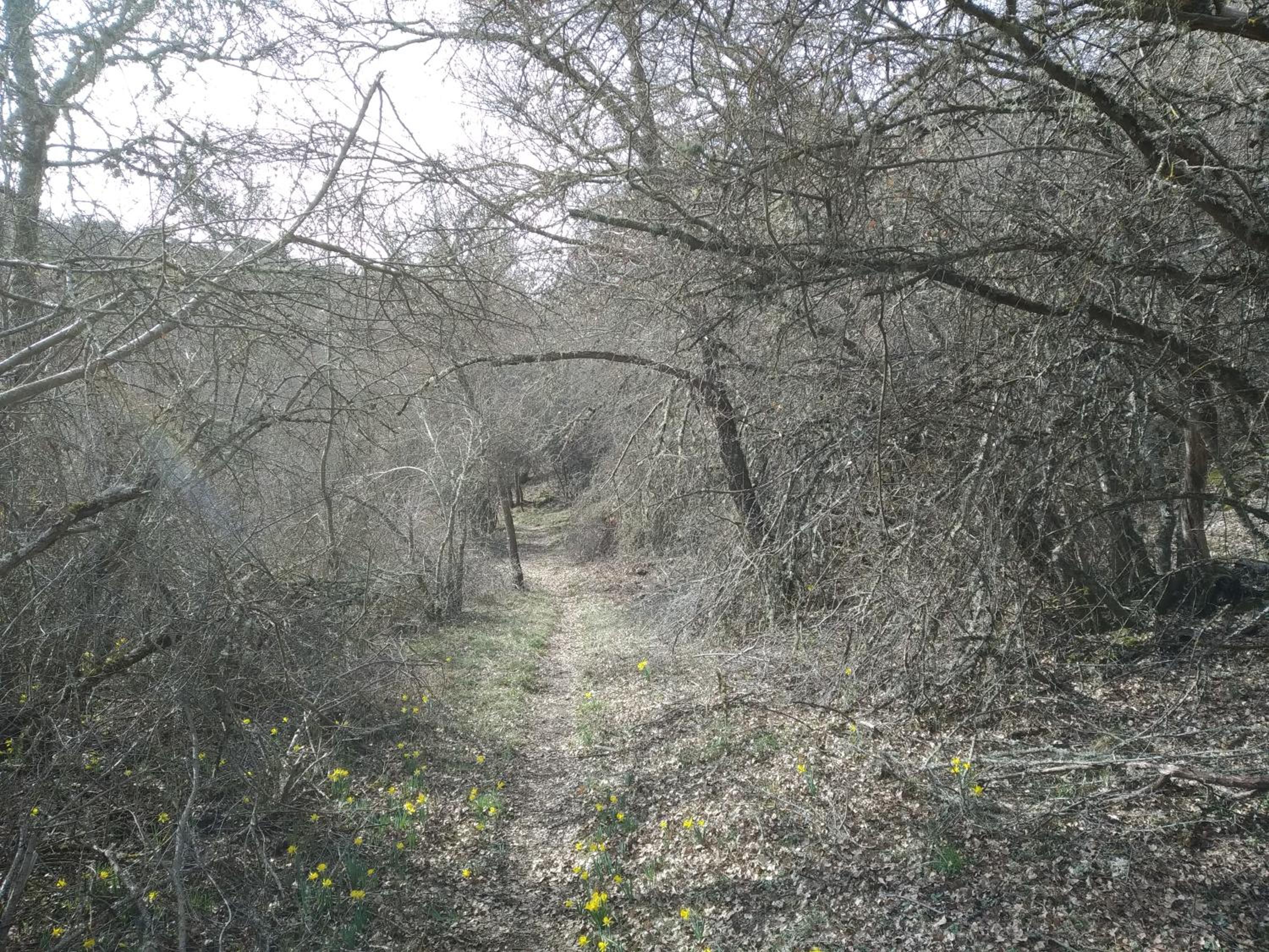 El Descanso del Talegones