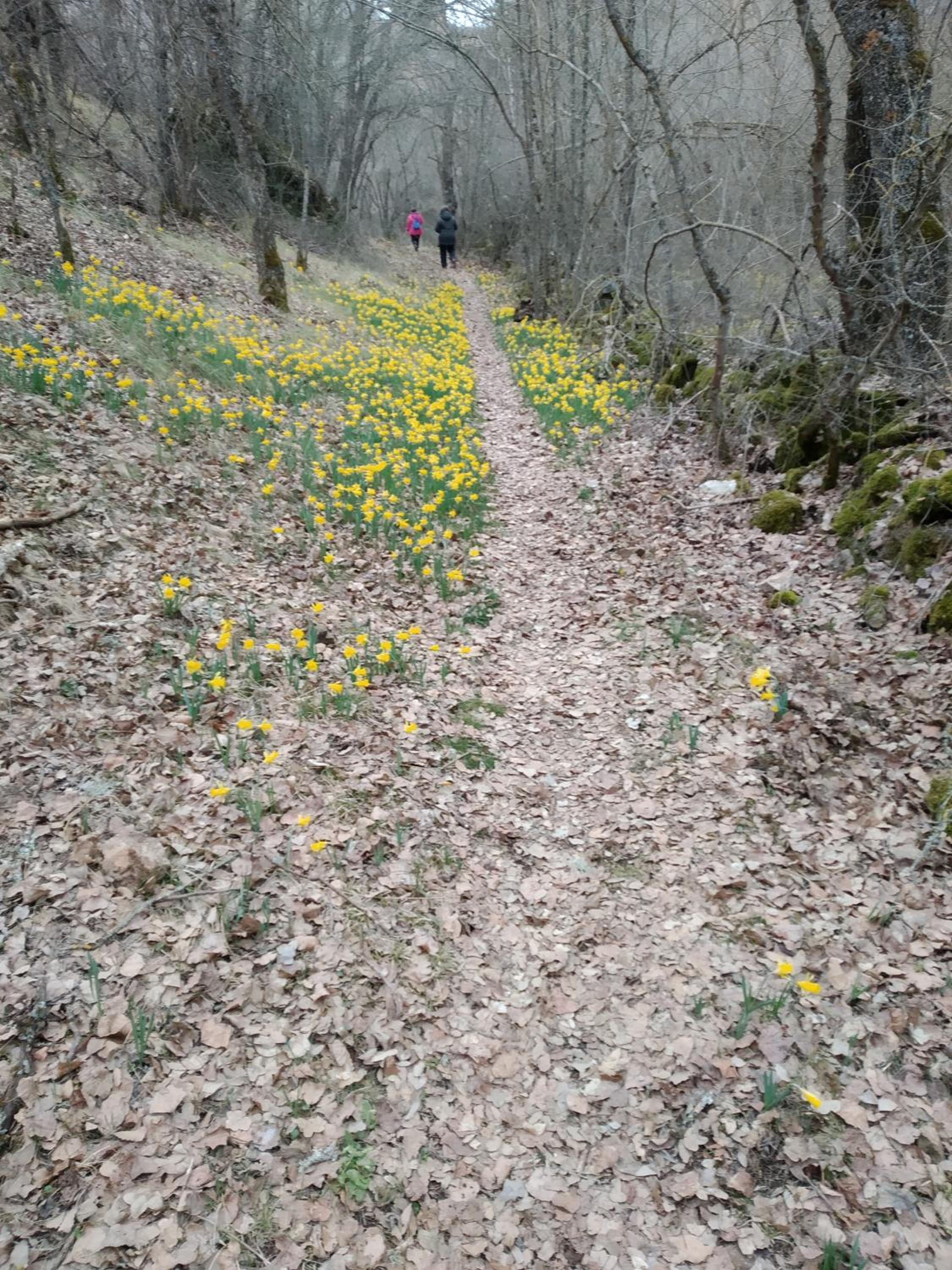 El Descanso del Talegones