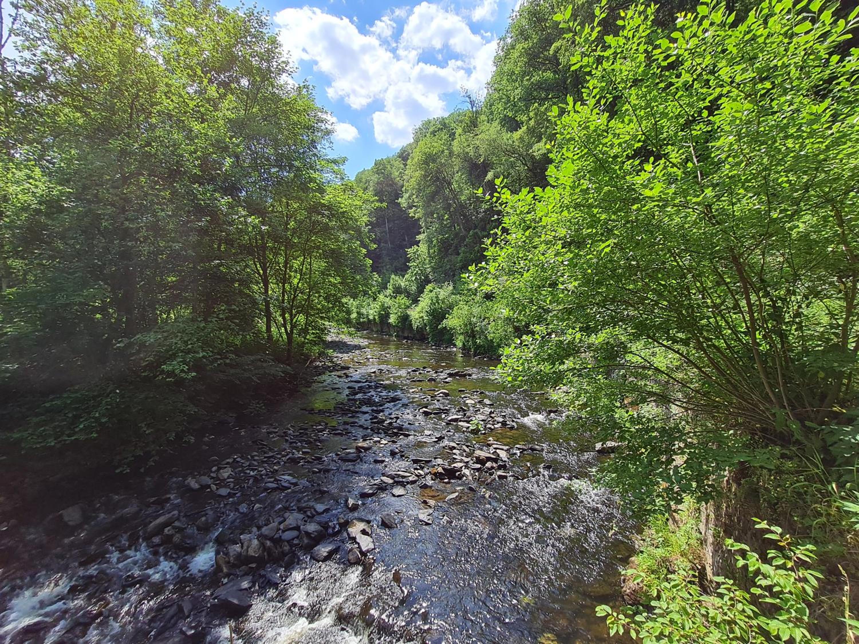 Ferienhaus Dröfter Blick