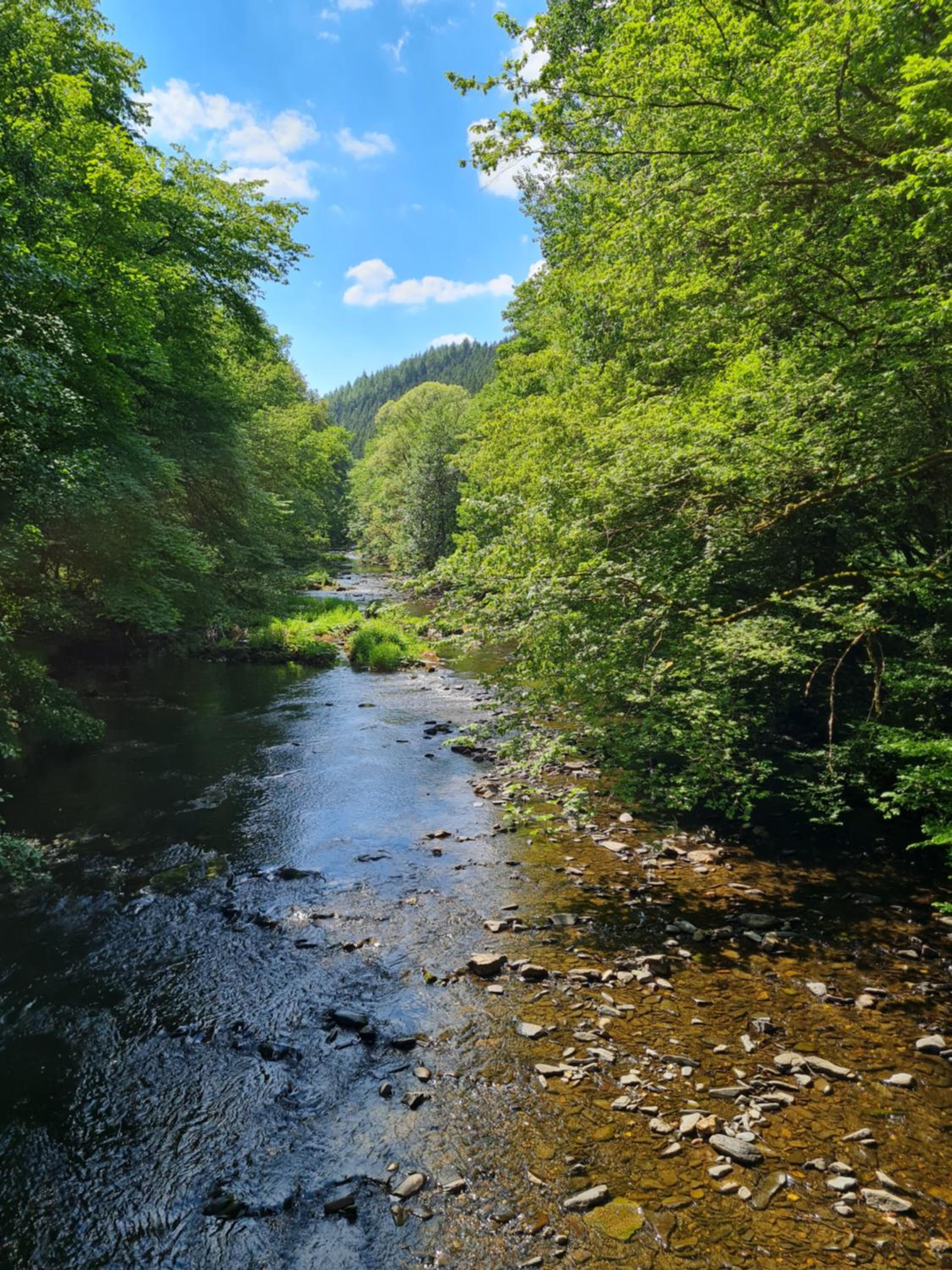 Ferienhaus Dröfter Blick