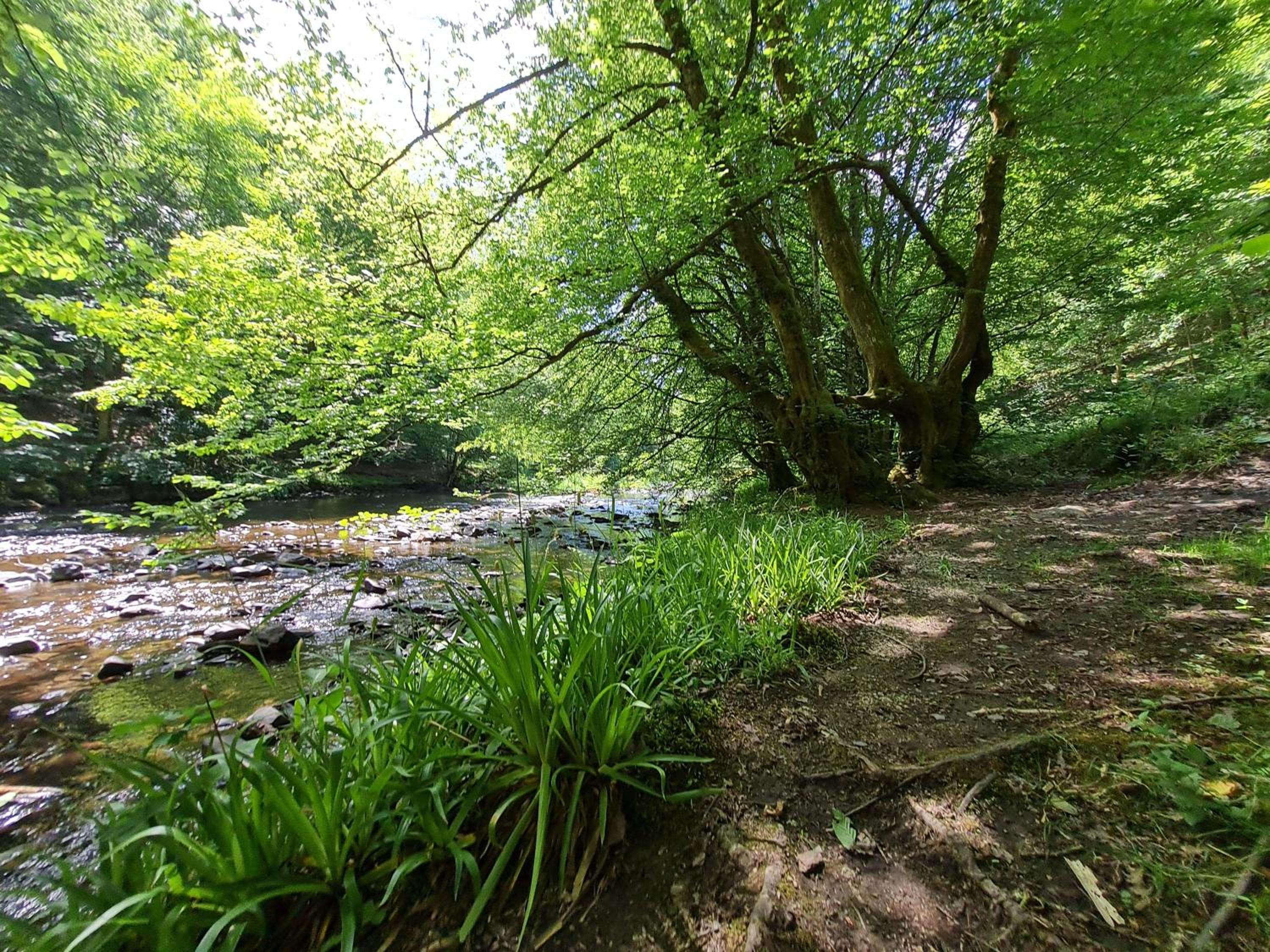 Ferienhaus Dröfter Blick