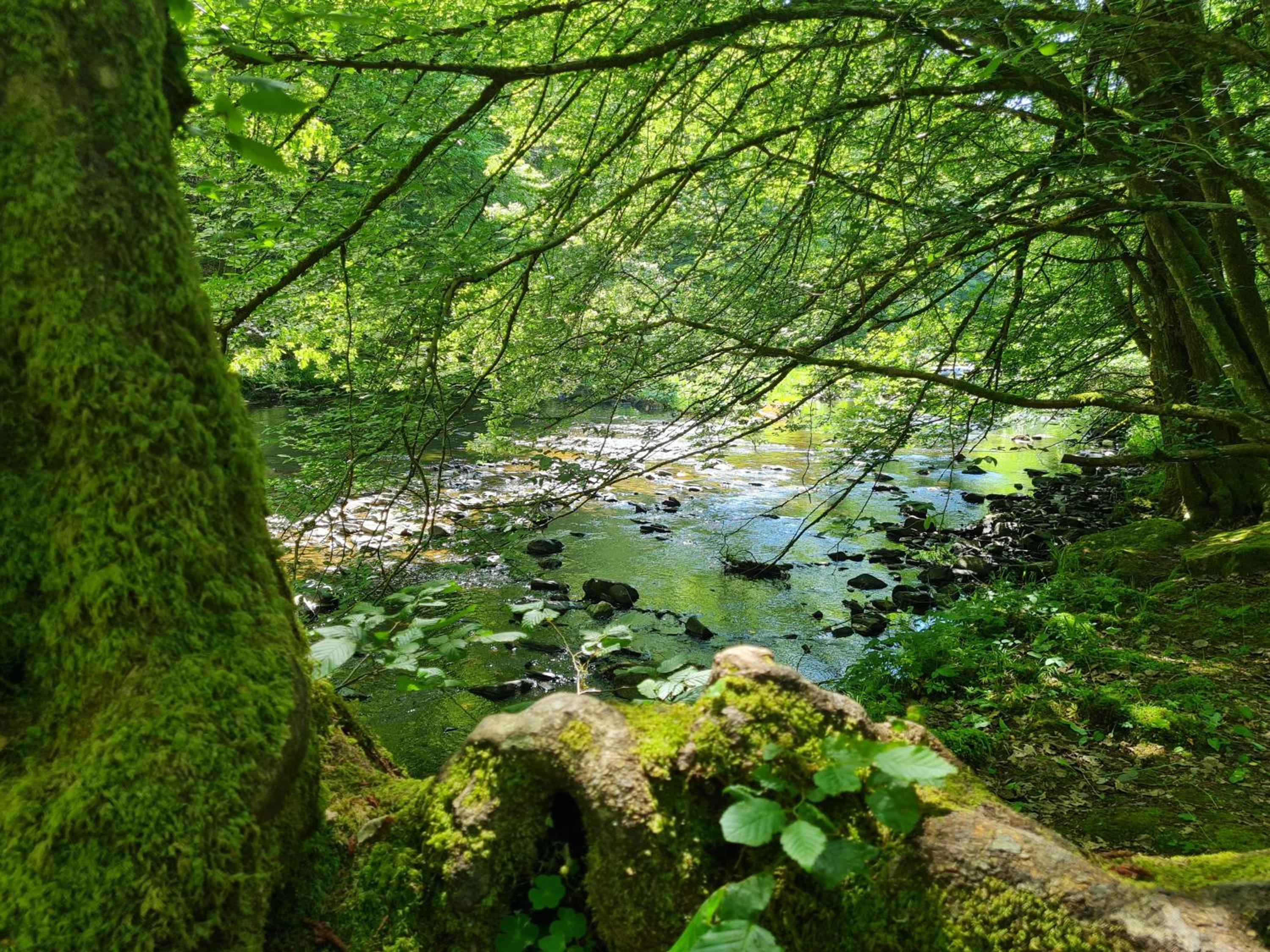 Ferienhaus Dröfter Blick