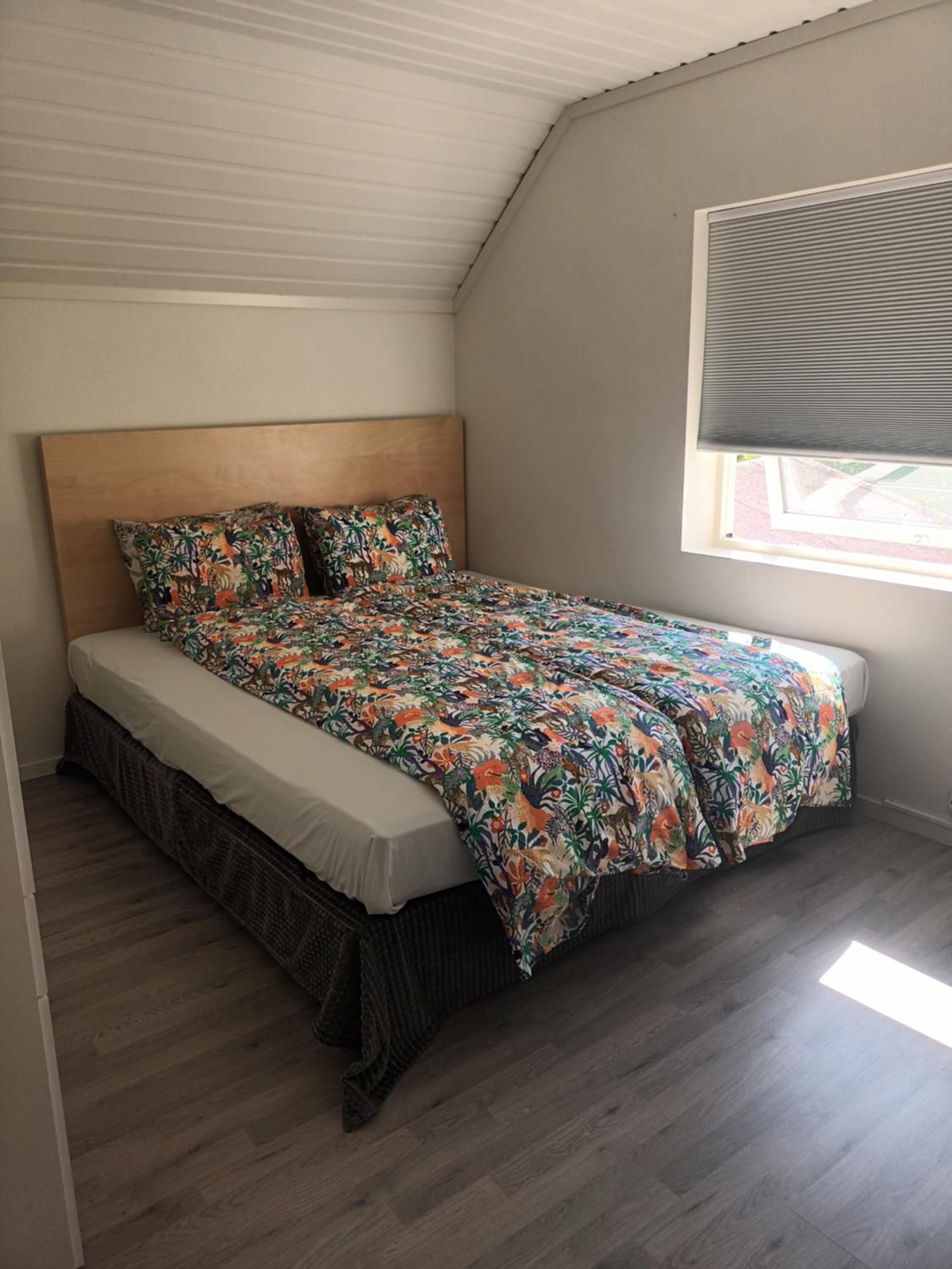 Olgas apartment