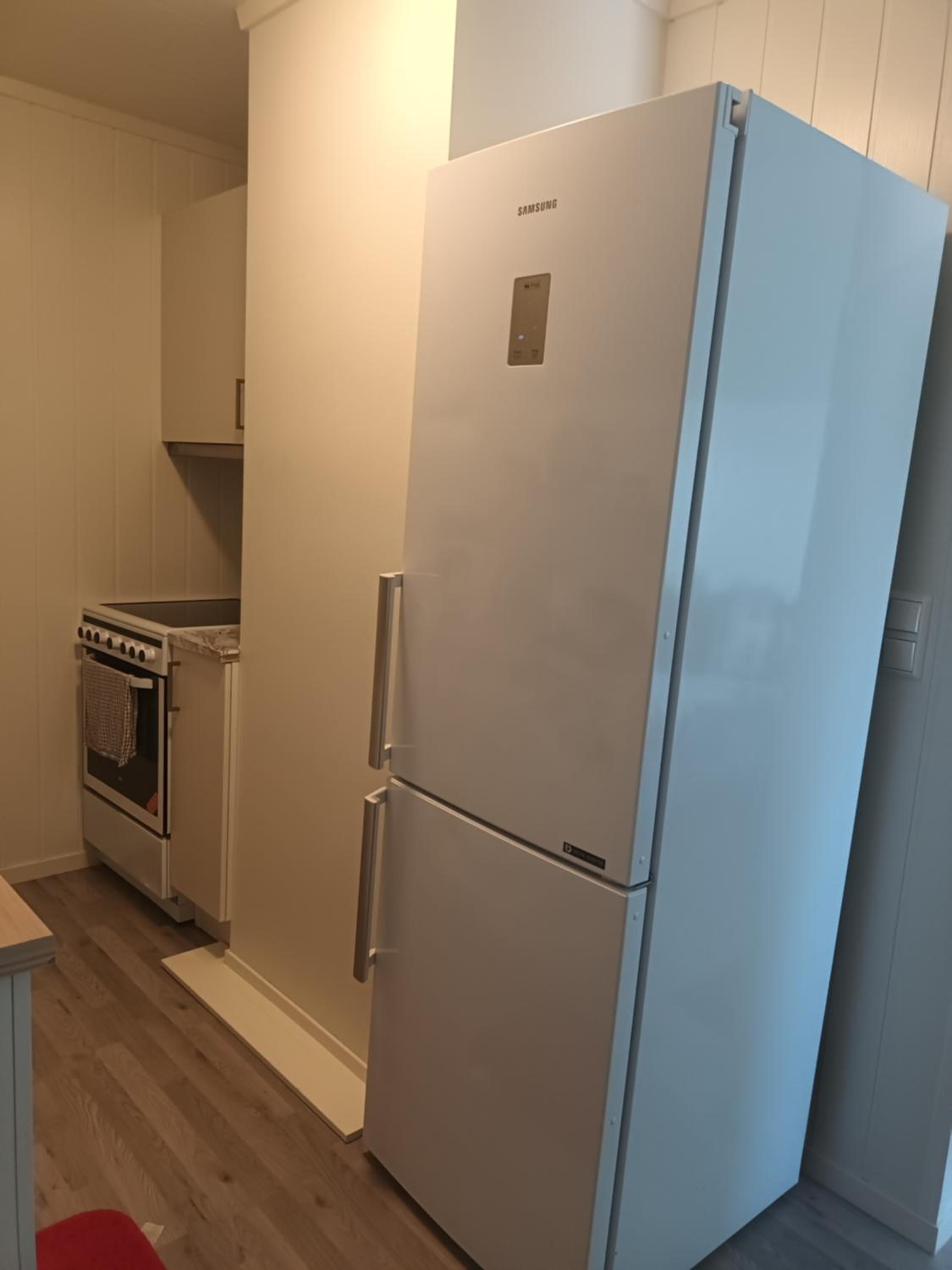 Olgas apartment