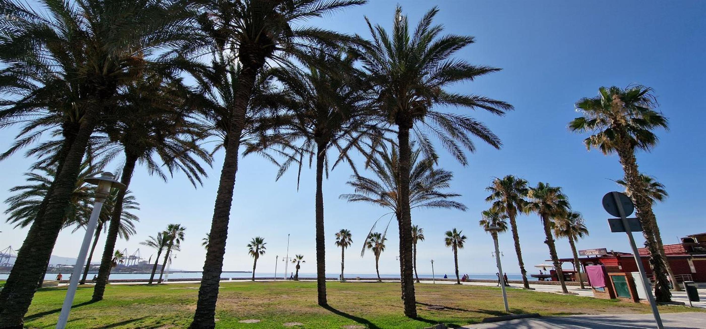 PAZ BEACH MALAGA