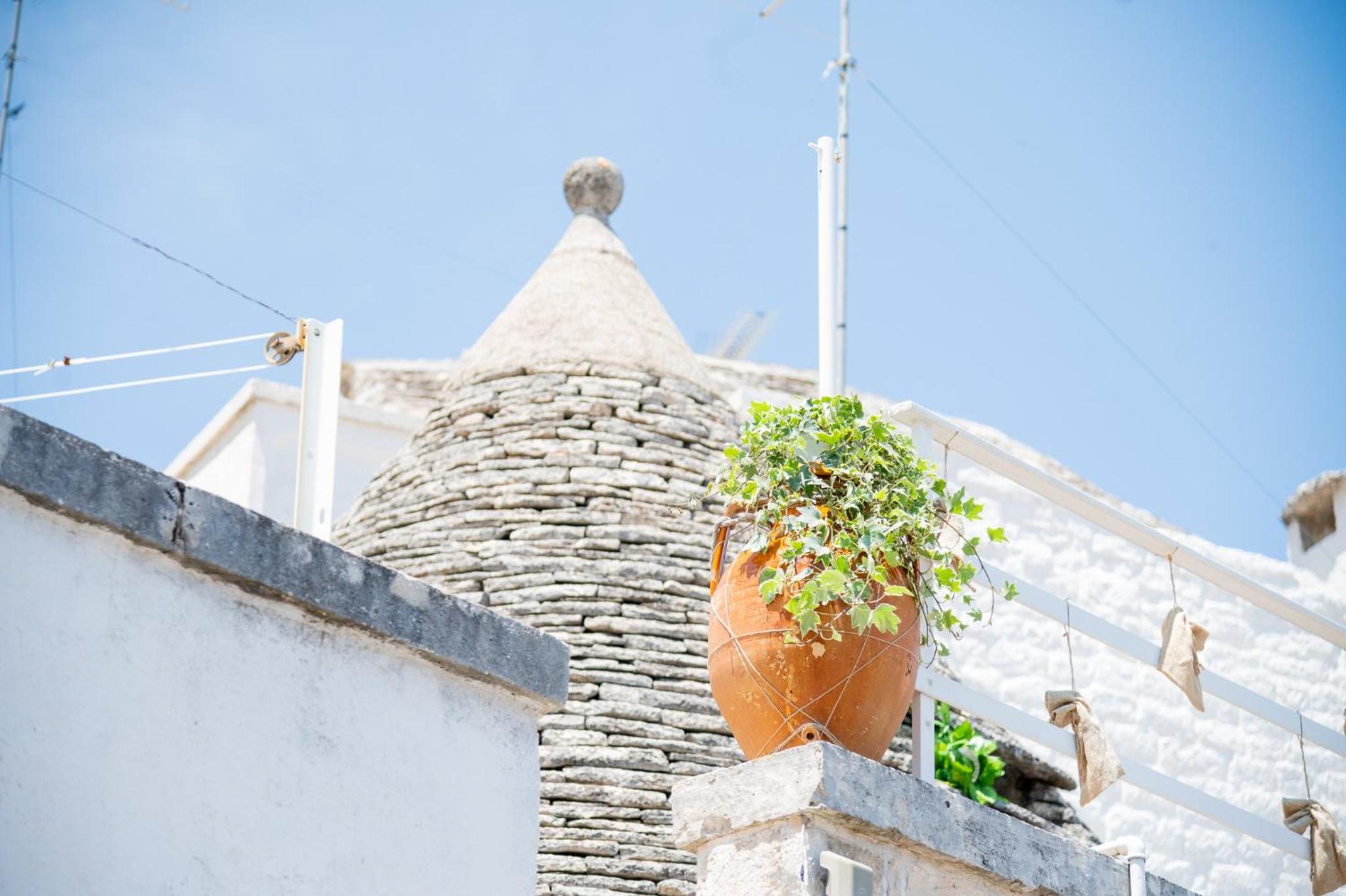 Trullo Dimora Zaccaria view 5