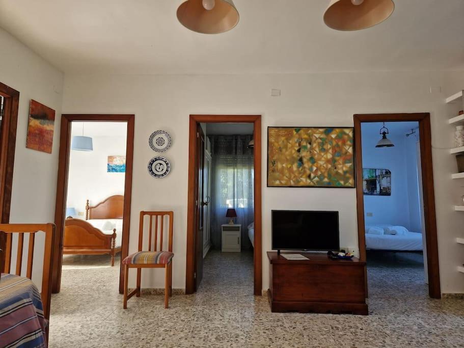 Casa Suricato