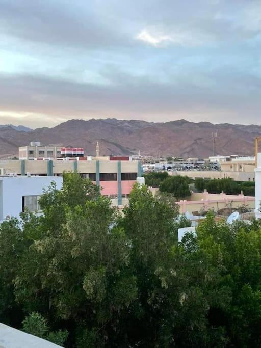 Beit Elfayrouz