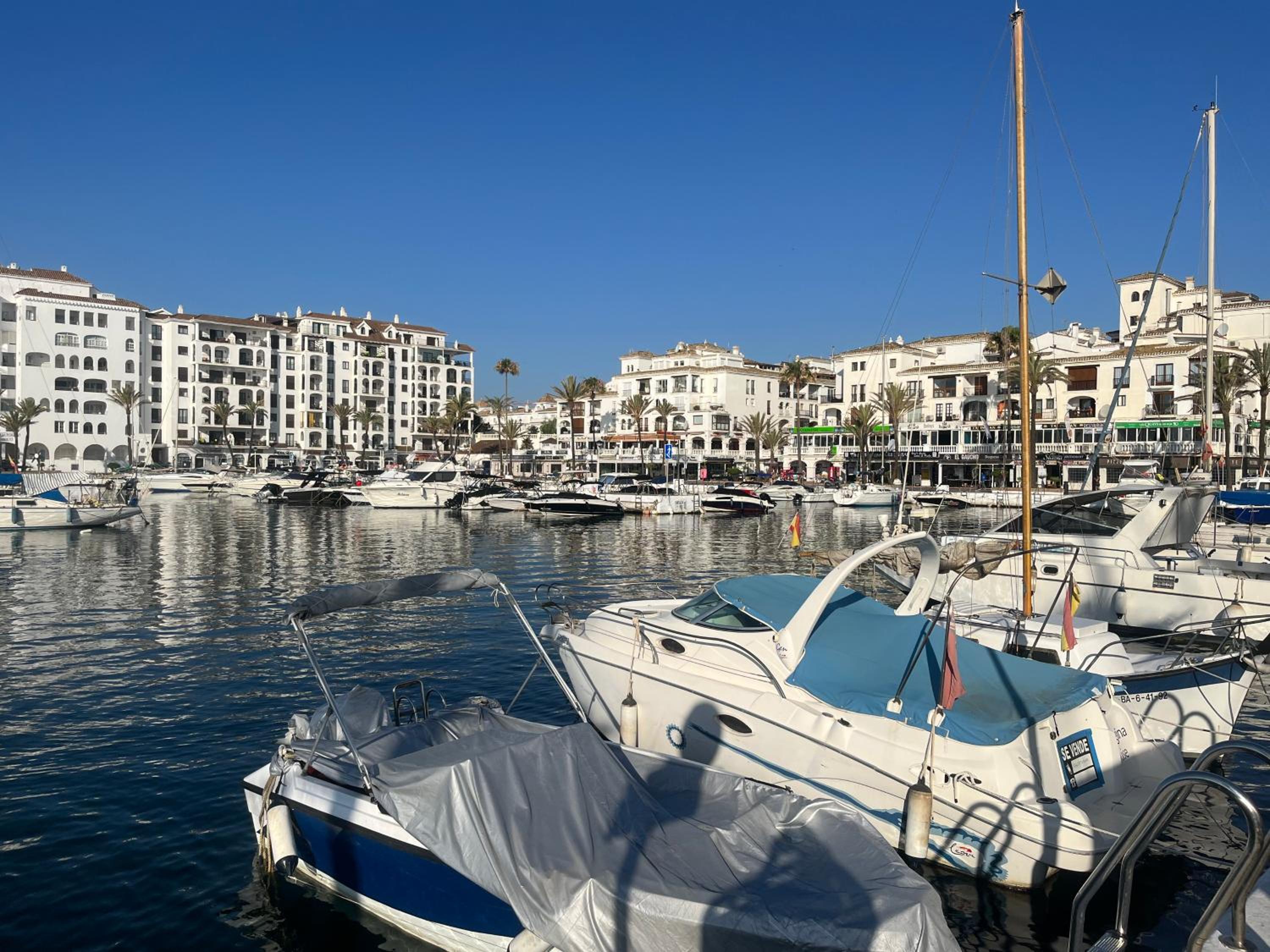 Apartment Duquesa Regent view 2