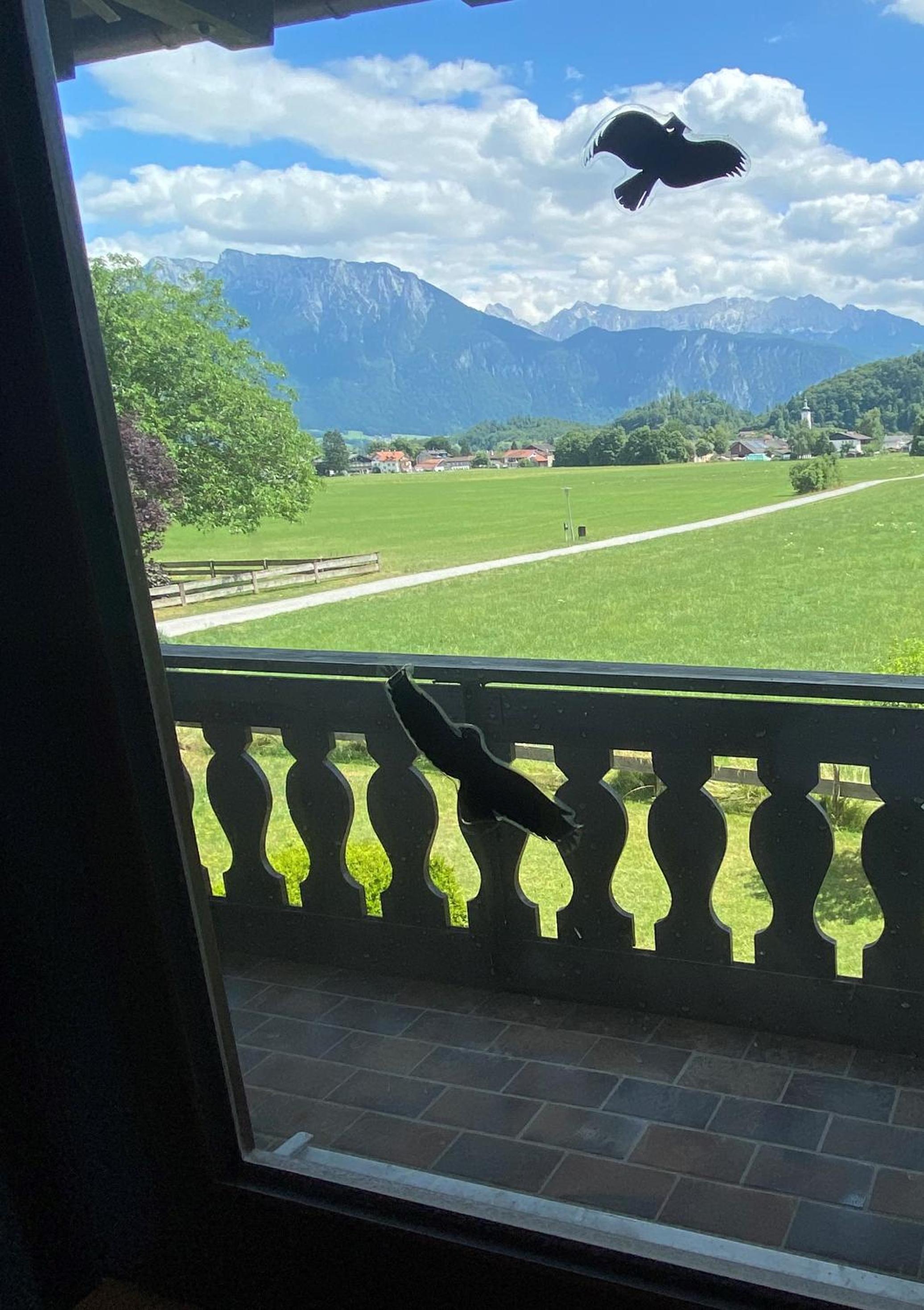 Ferienwohnung Kaiserpanorama - Alpenmagie Suites