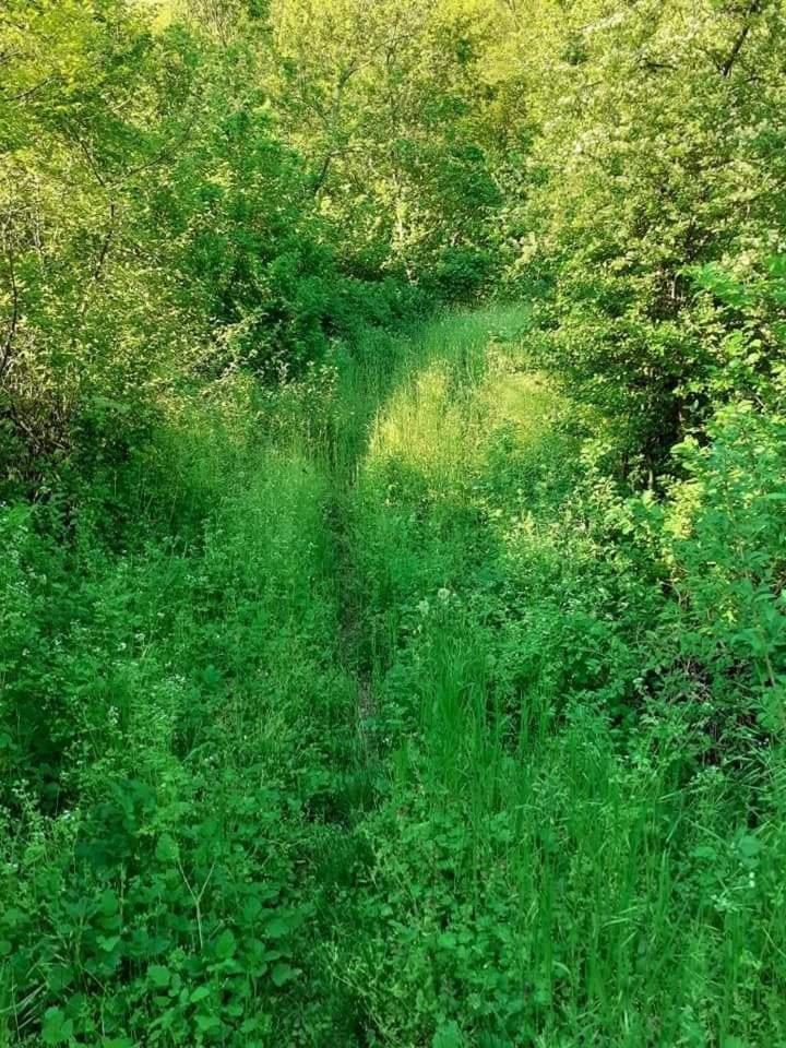 Photo 47