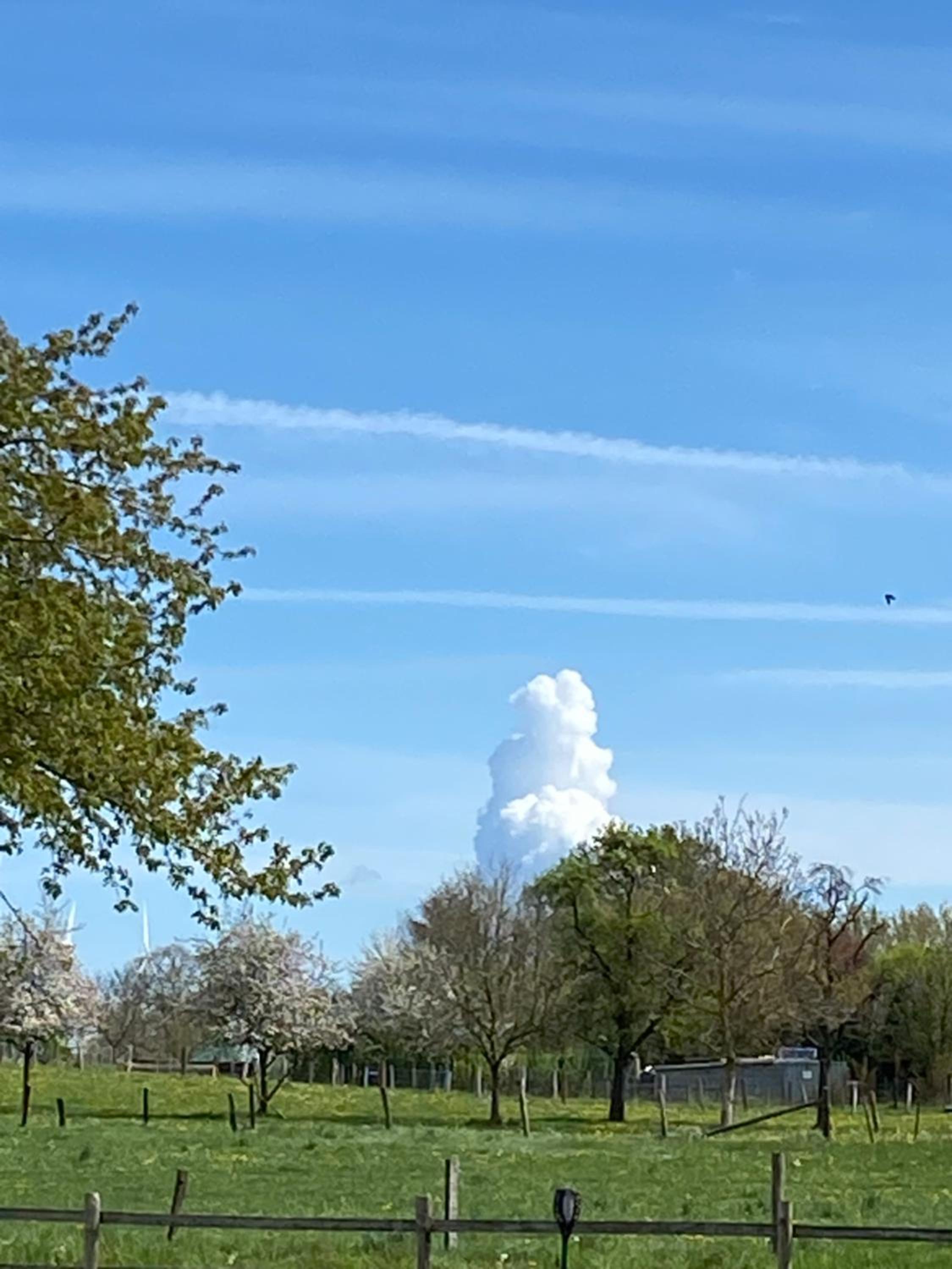 Ferienwohnungen Büffel