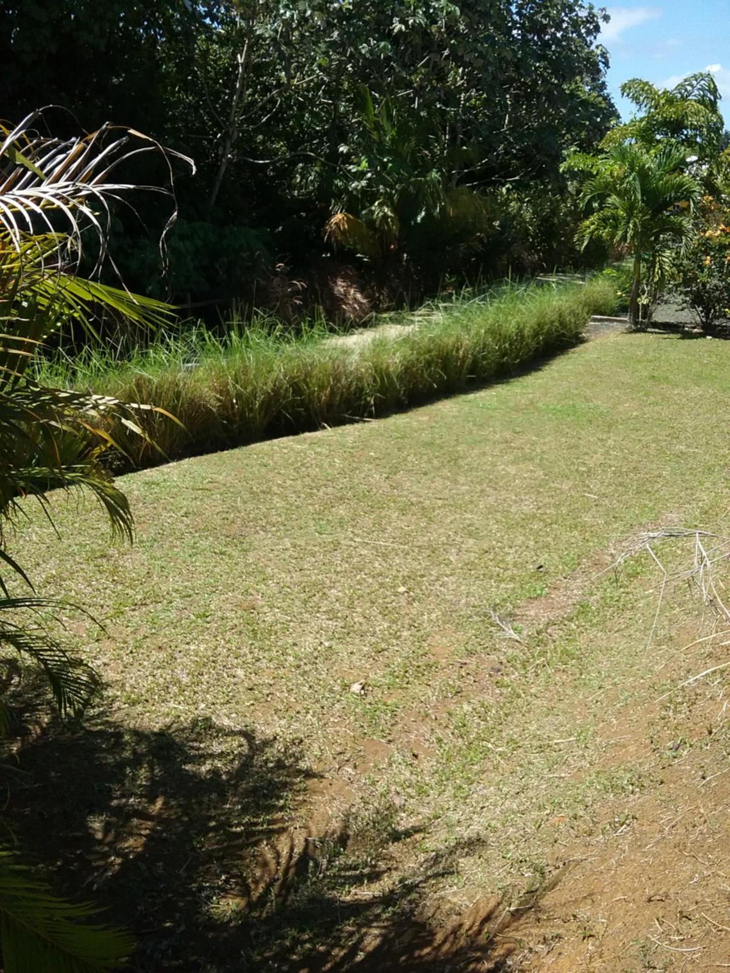 Photo 47