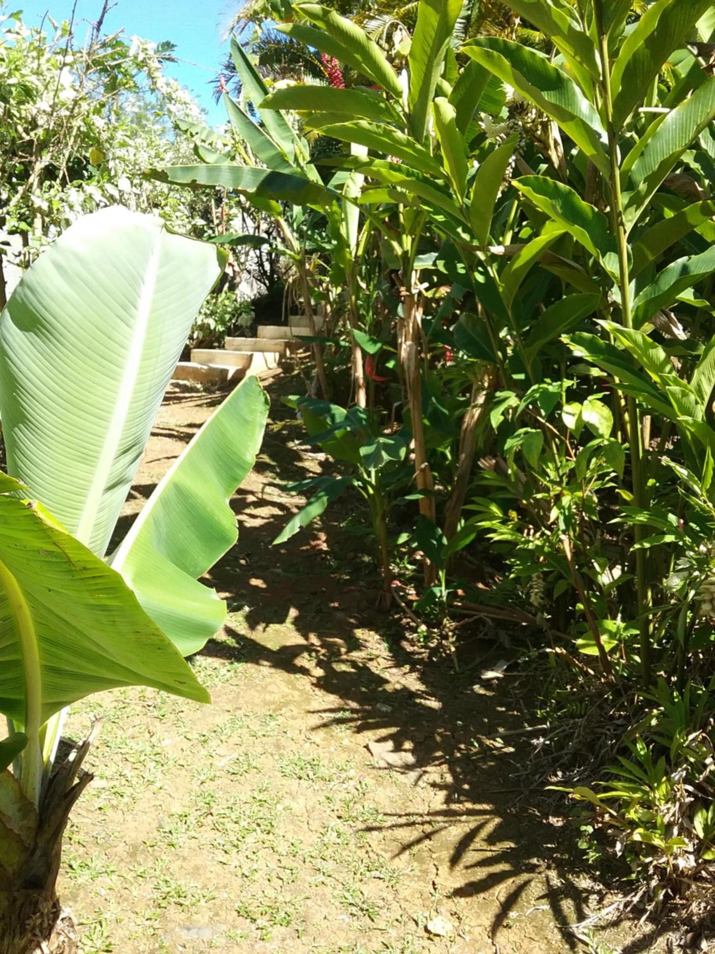 Photo 48