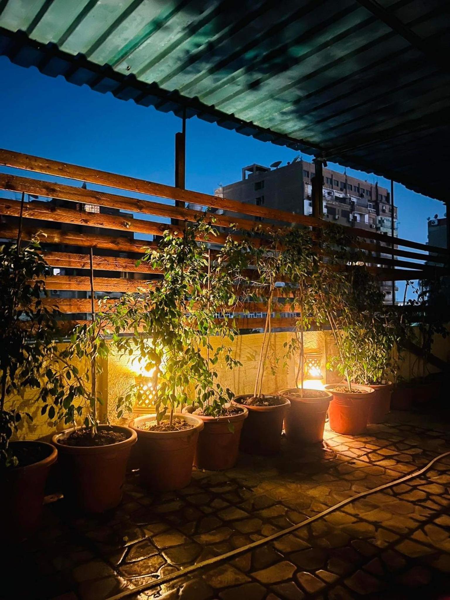 Cosy apartment with garden in Zamalic