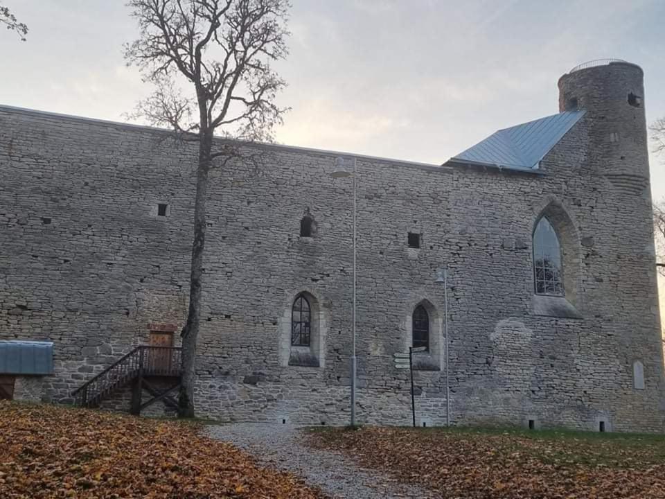 Saare Paadiküla