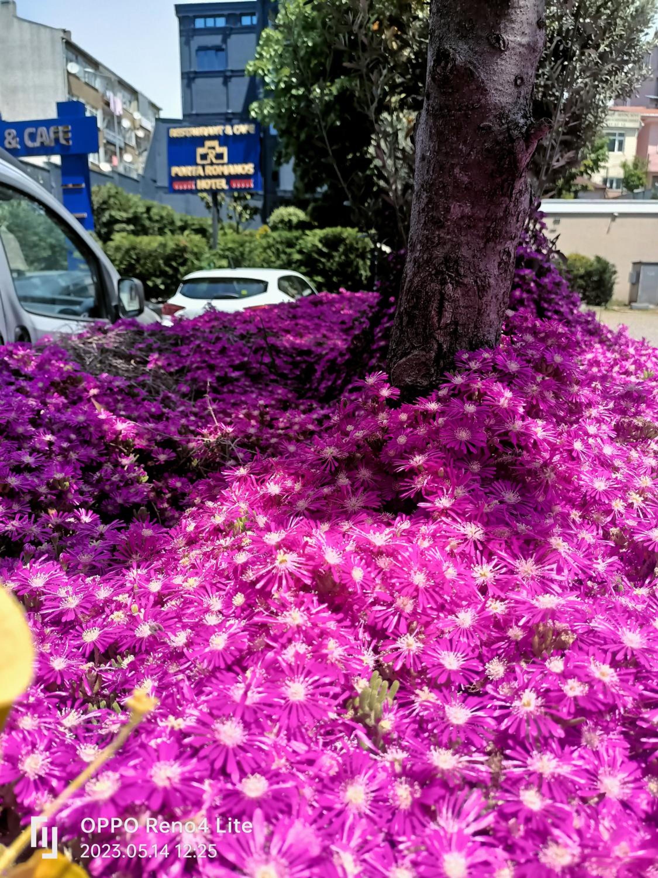 Porta Romanos Otel - Image 49