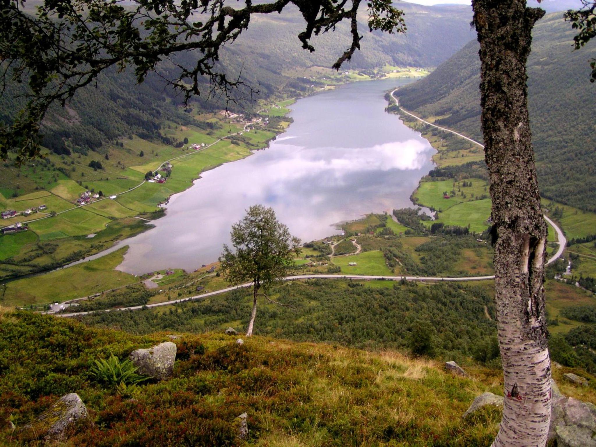 Photo 41