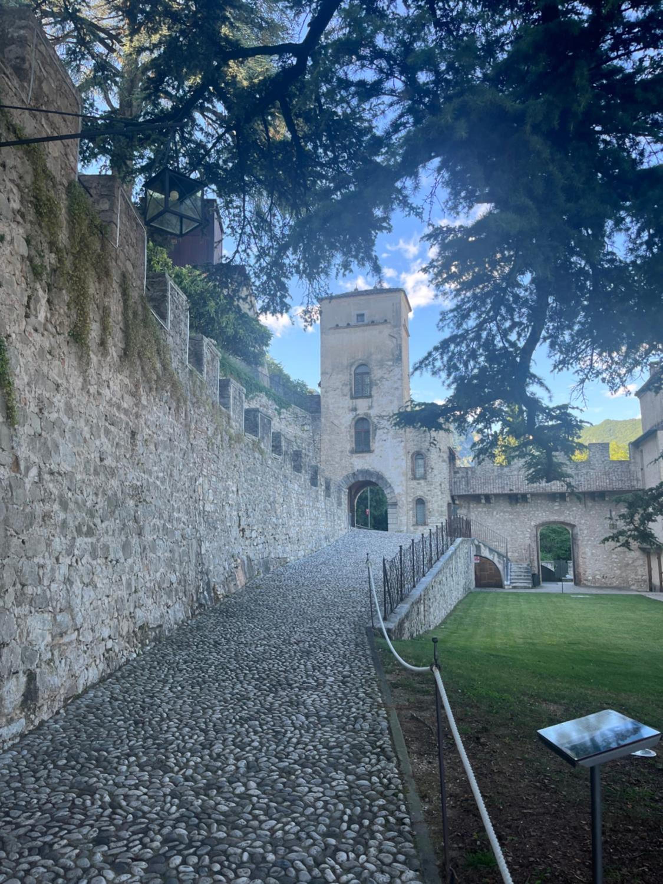 ALTRAVISTA TARZO
