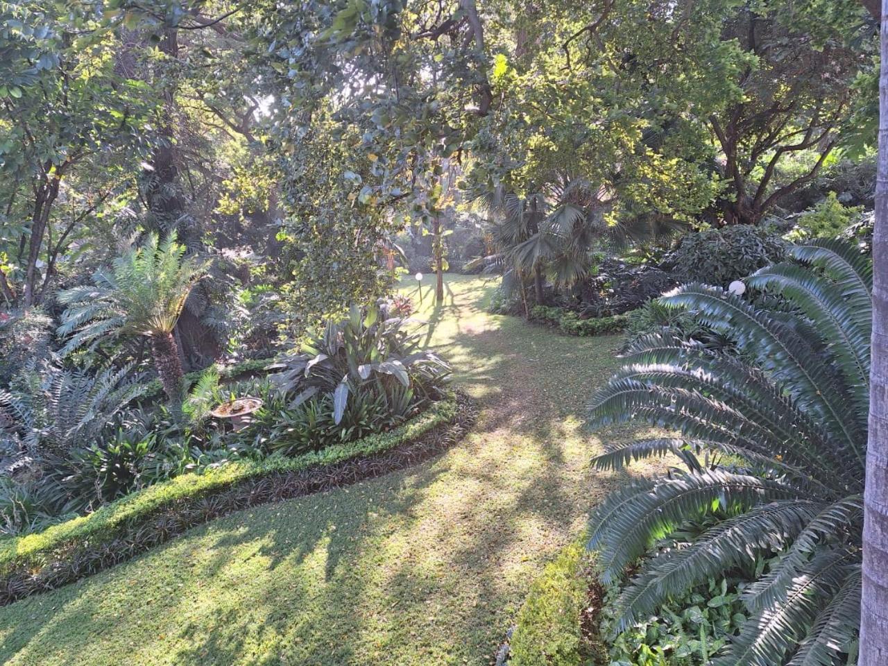 Photo 38