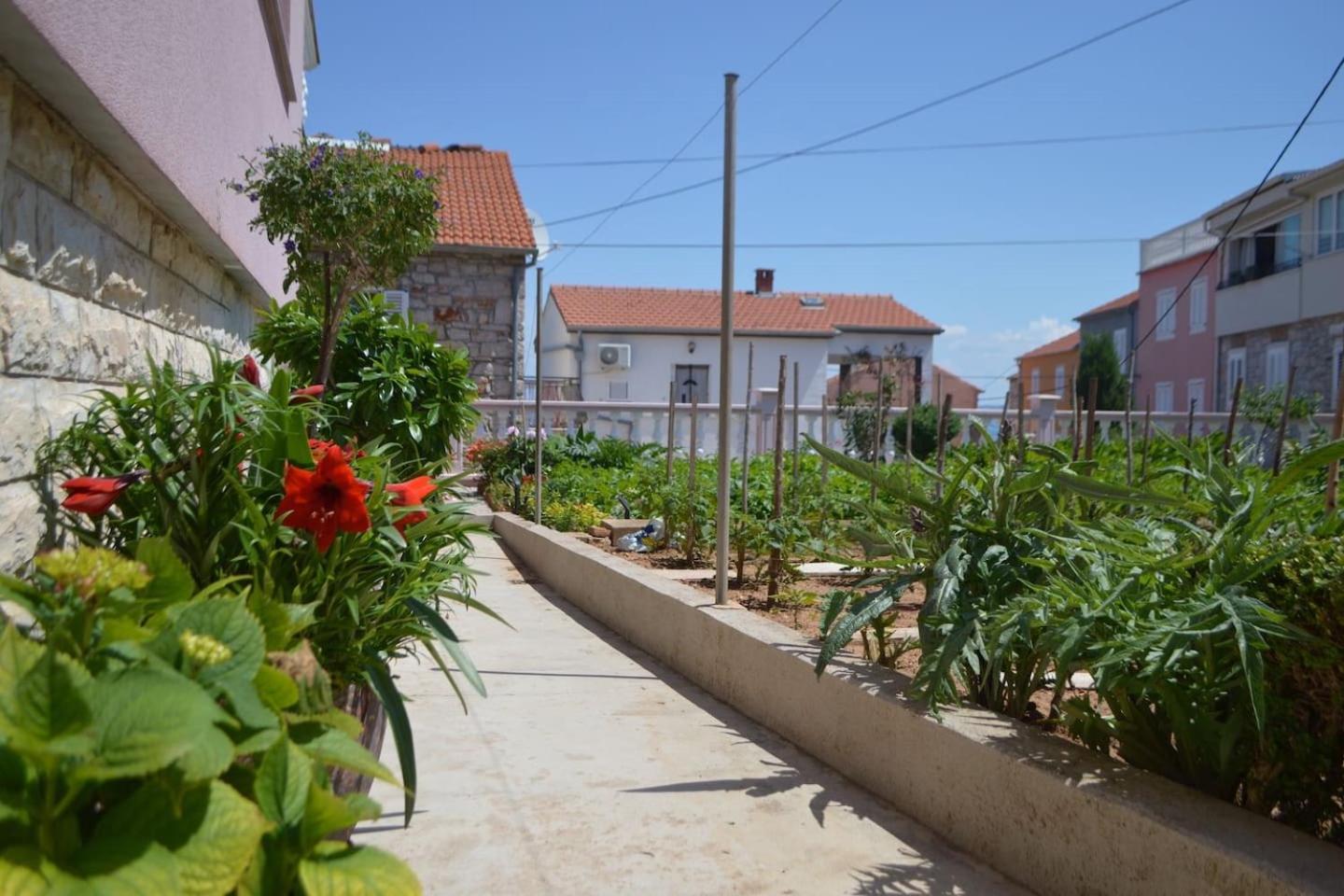 Photo 40