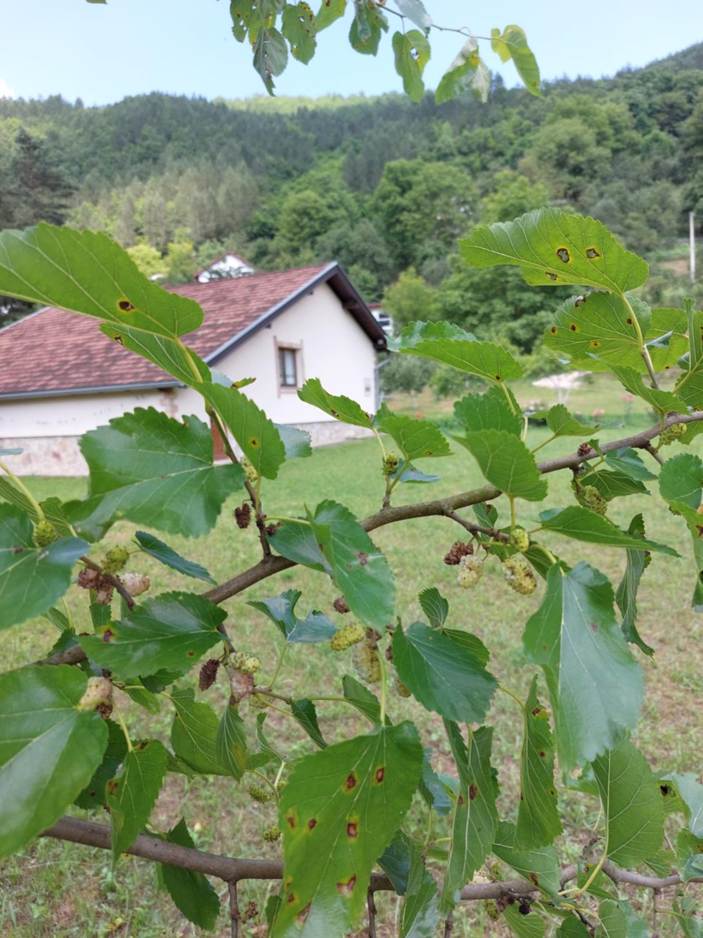 Kuća za odmor 
