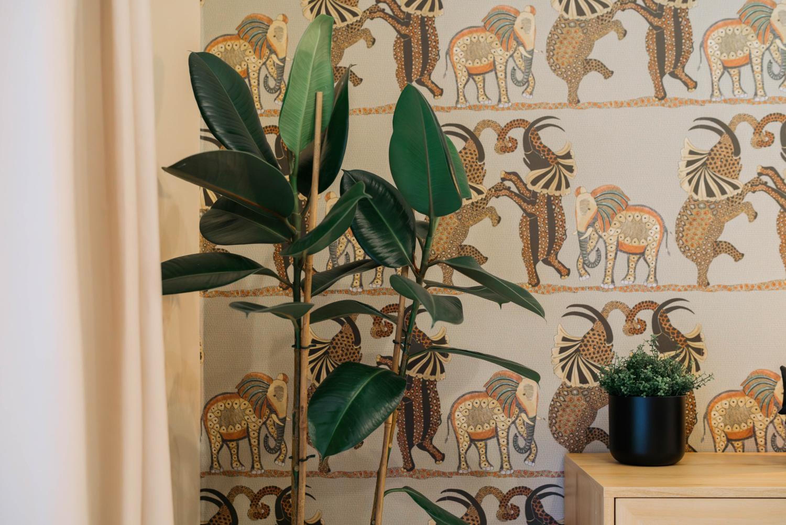 Elephant Studio