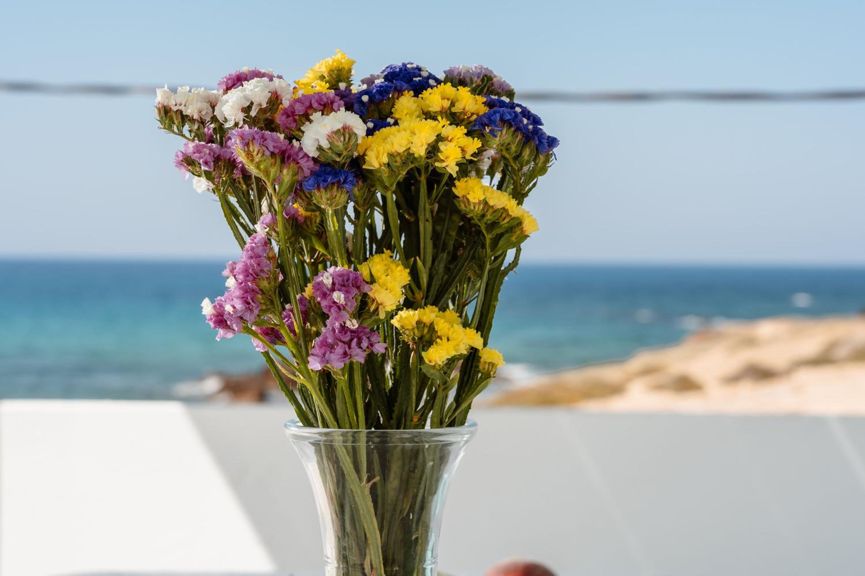 Celestial Seaview Apartments-Dionysios