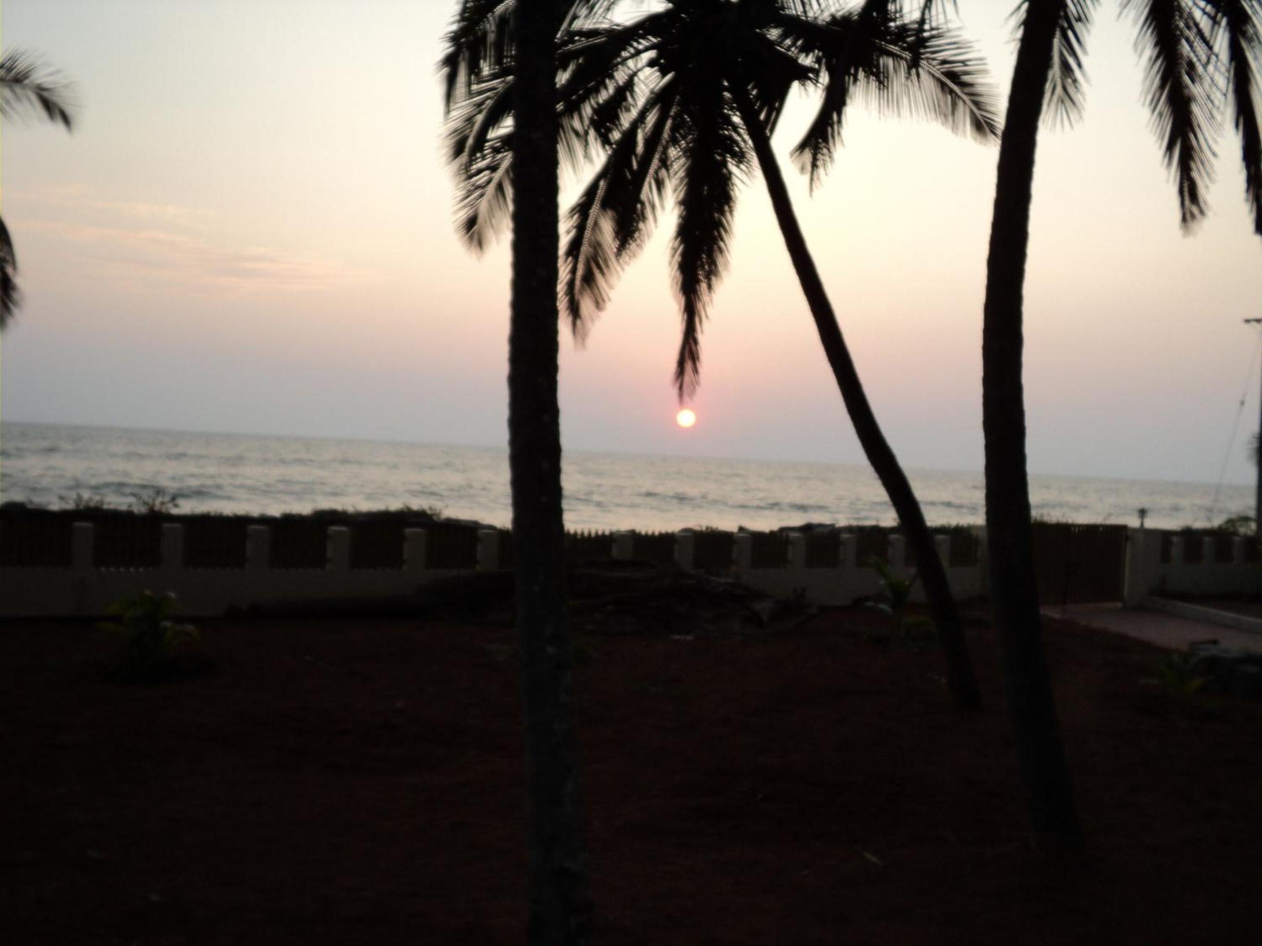 Photo 49