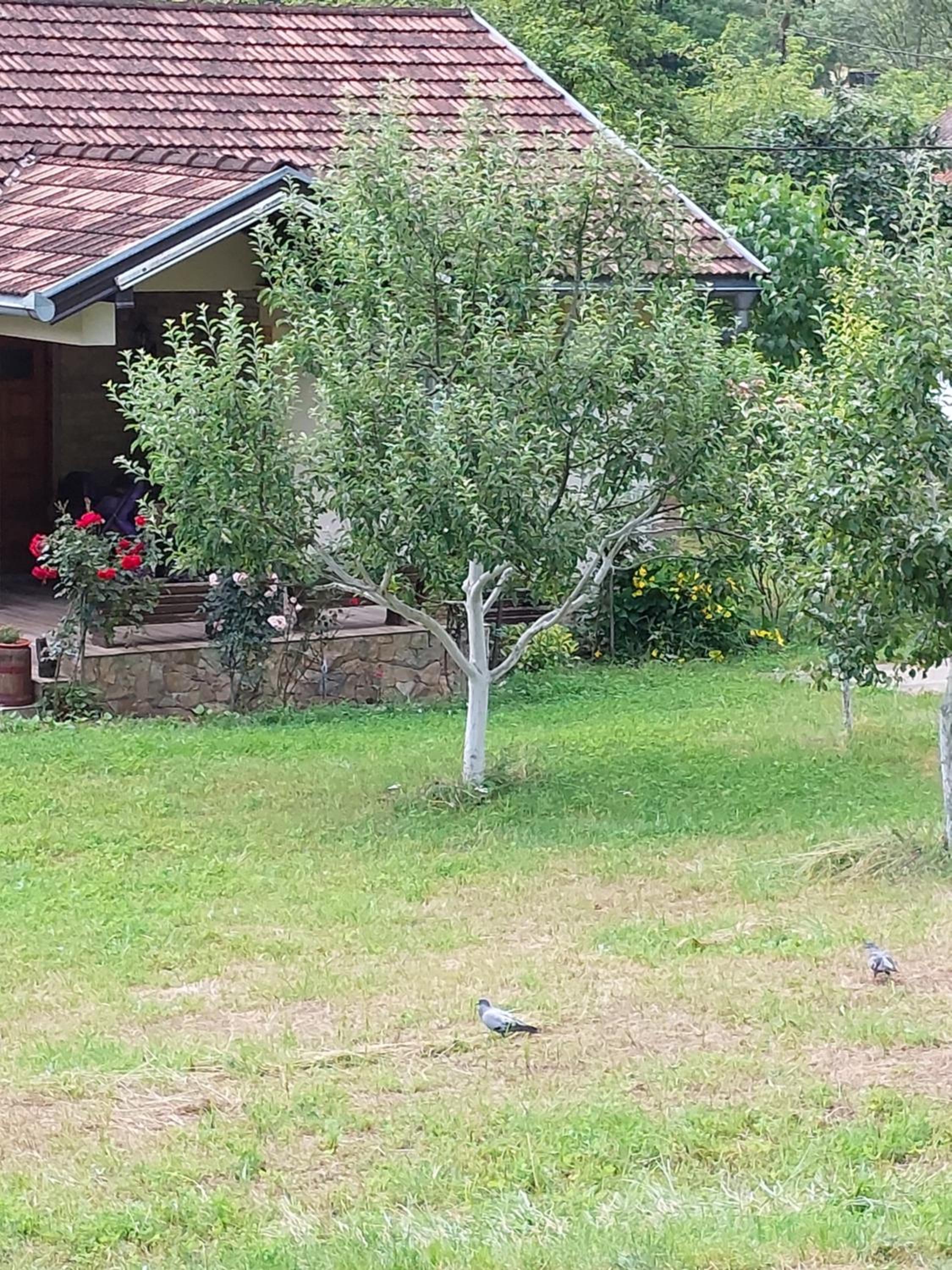 Kuća za odmor 