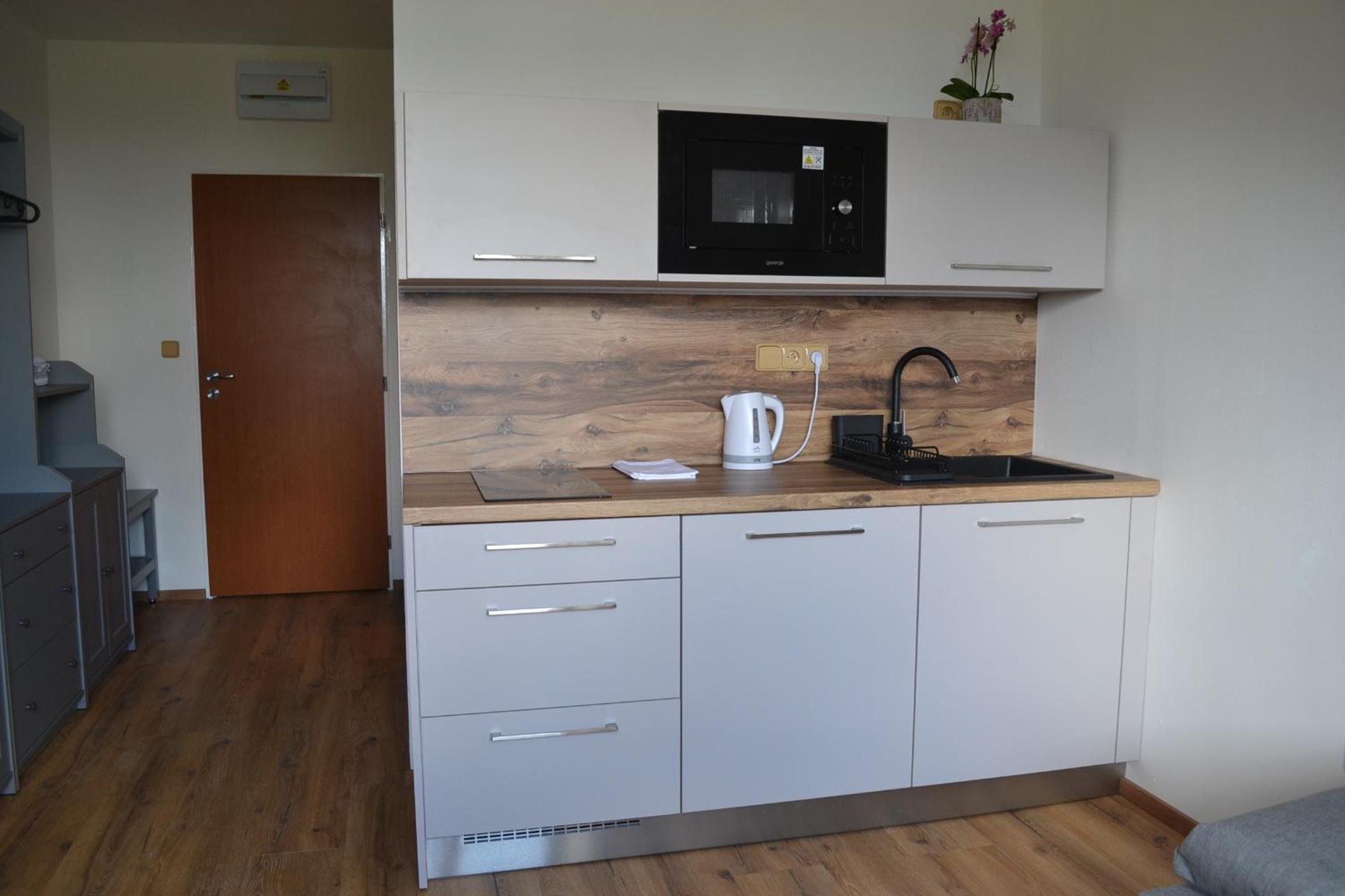 Apartmán Benešovka