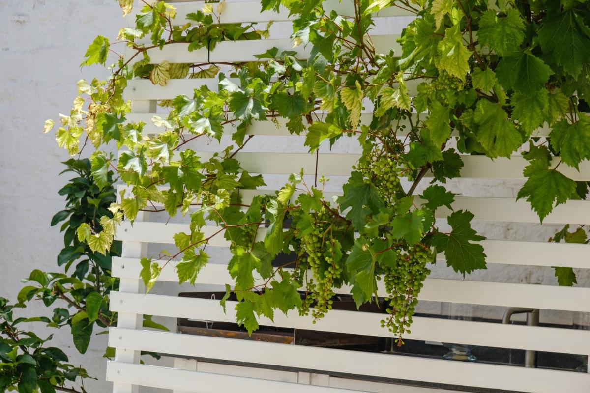 Welcome Ostuni b&b