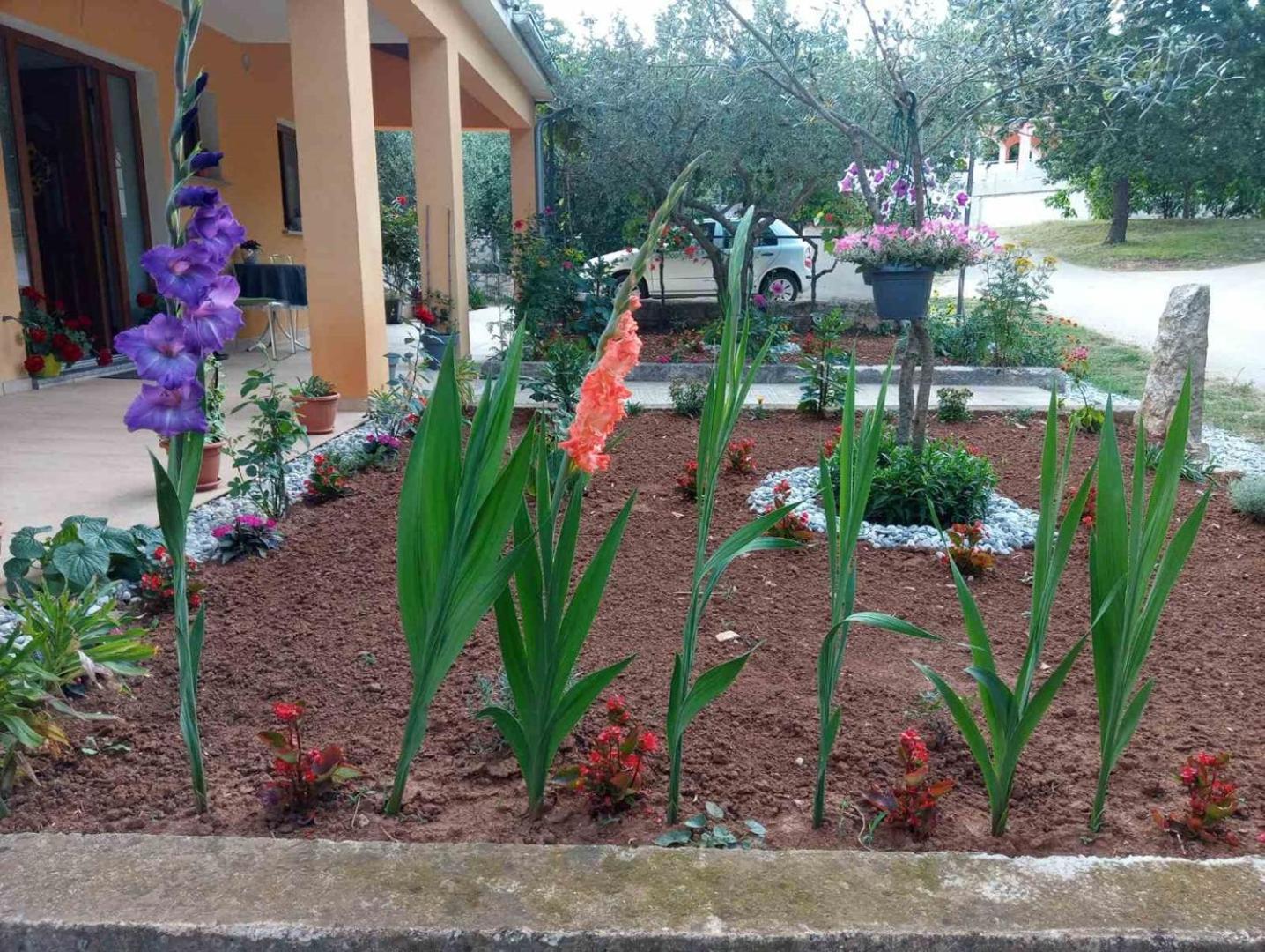 Apartment Petar in Begi view 5