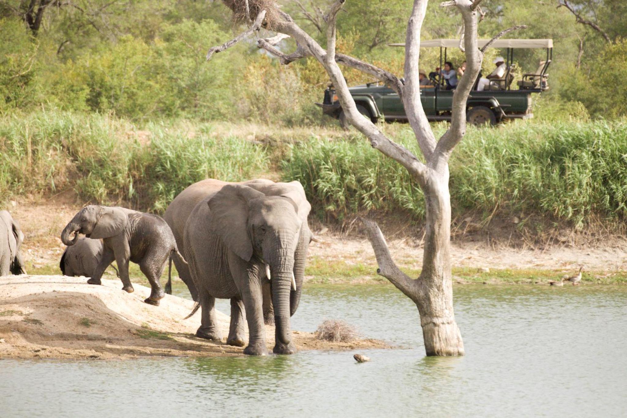 Photo 179