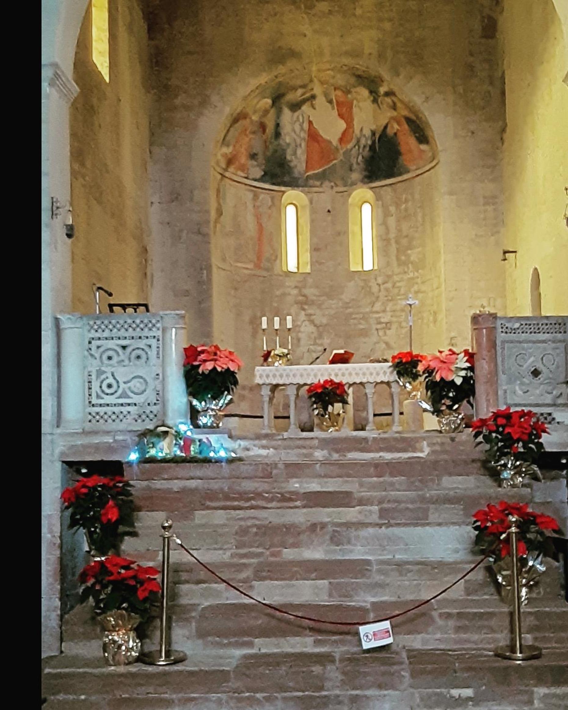 Photo 38