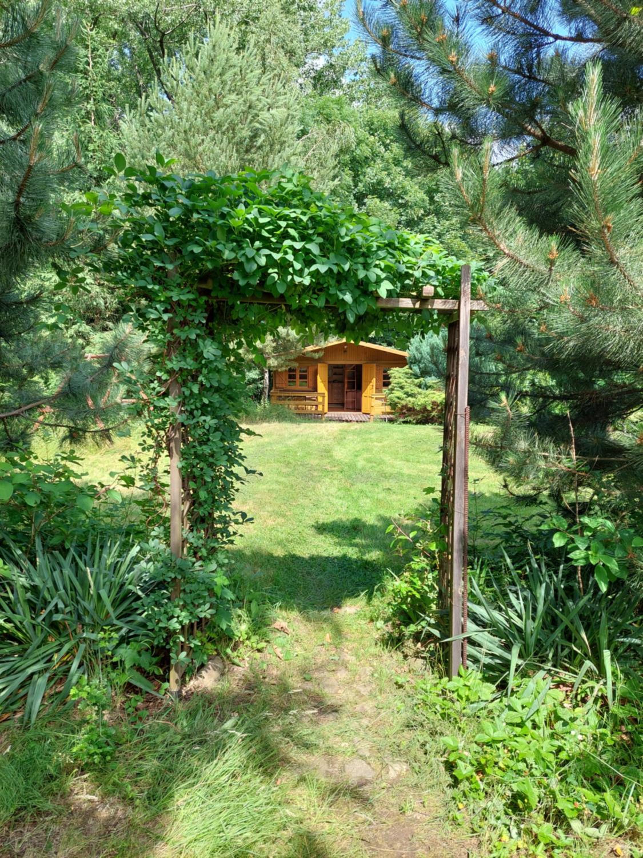 Photo 25