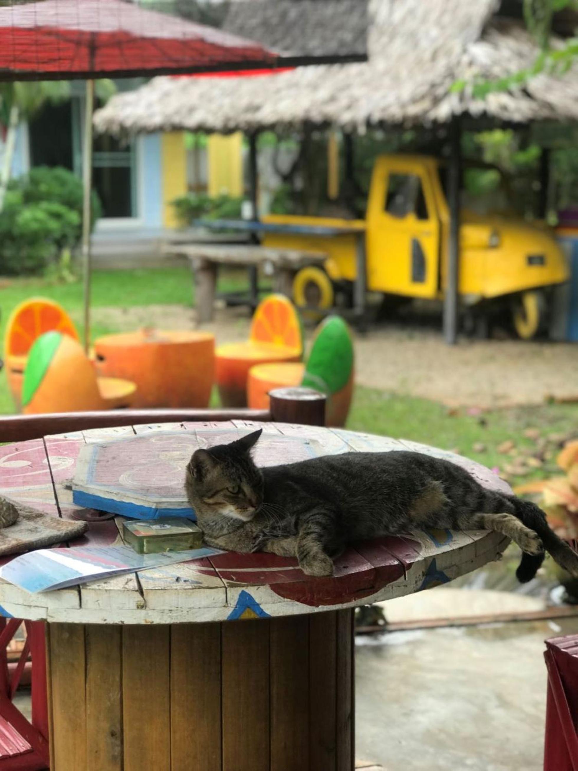 Chill Out Village