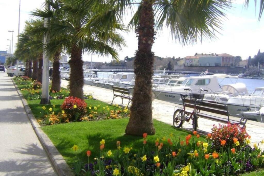 HYGGE ZADAR apartment view 5
