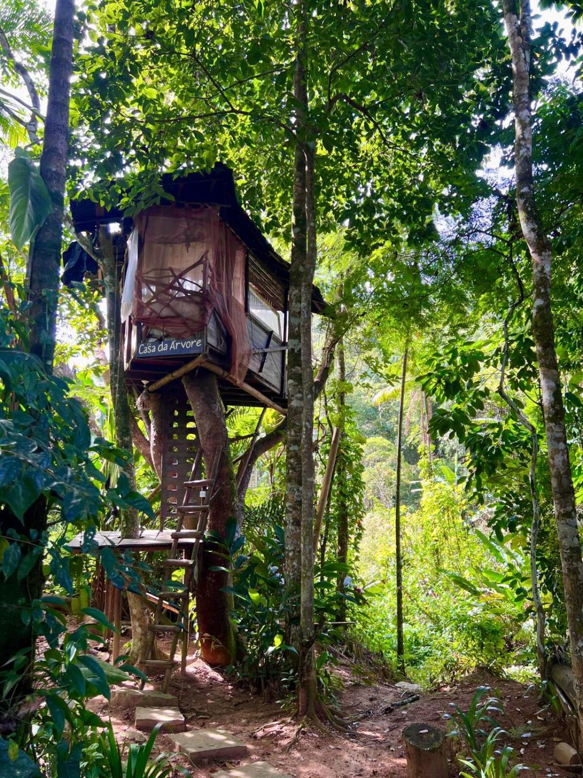 Sitio Simple Life view 5