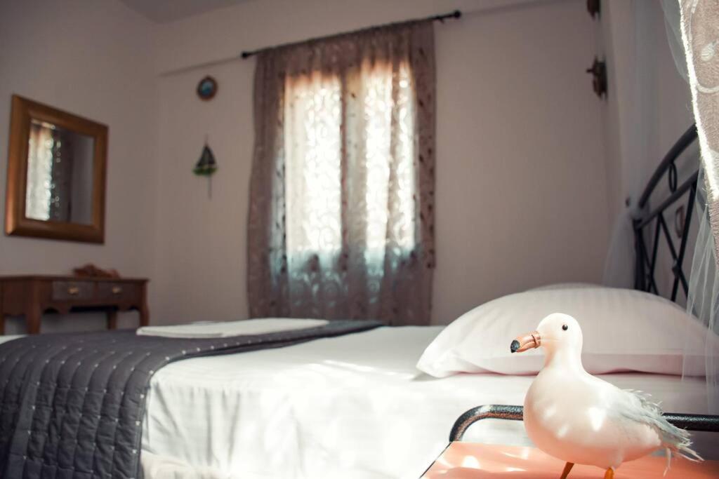 Seagull House