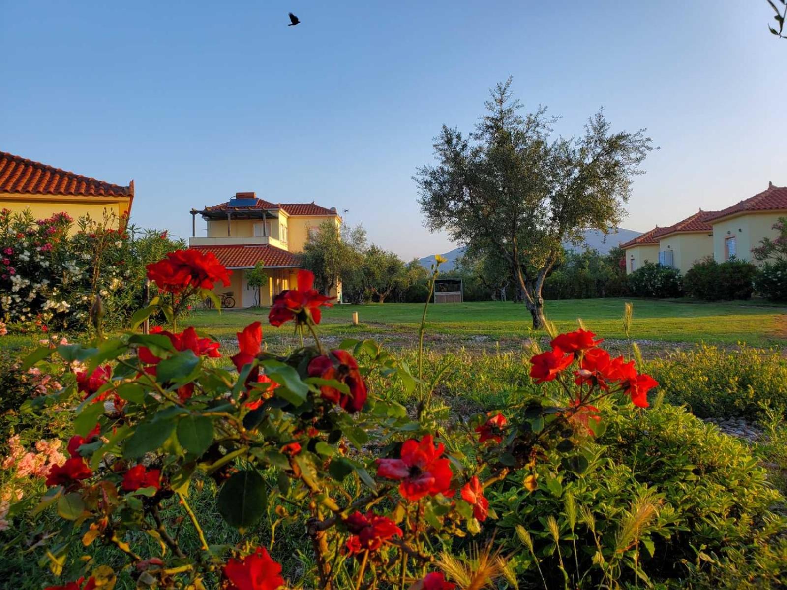 Phyllida Guest House - A1 view 2