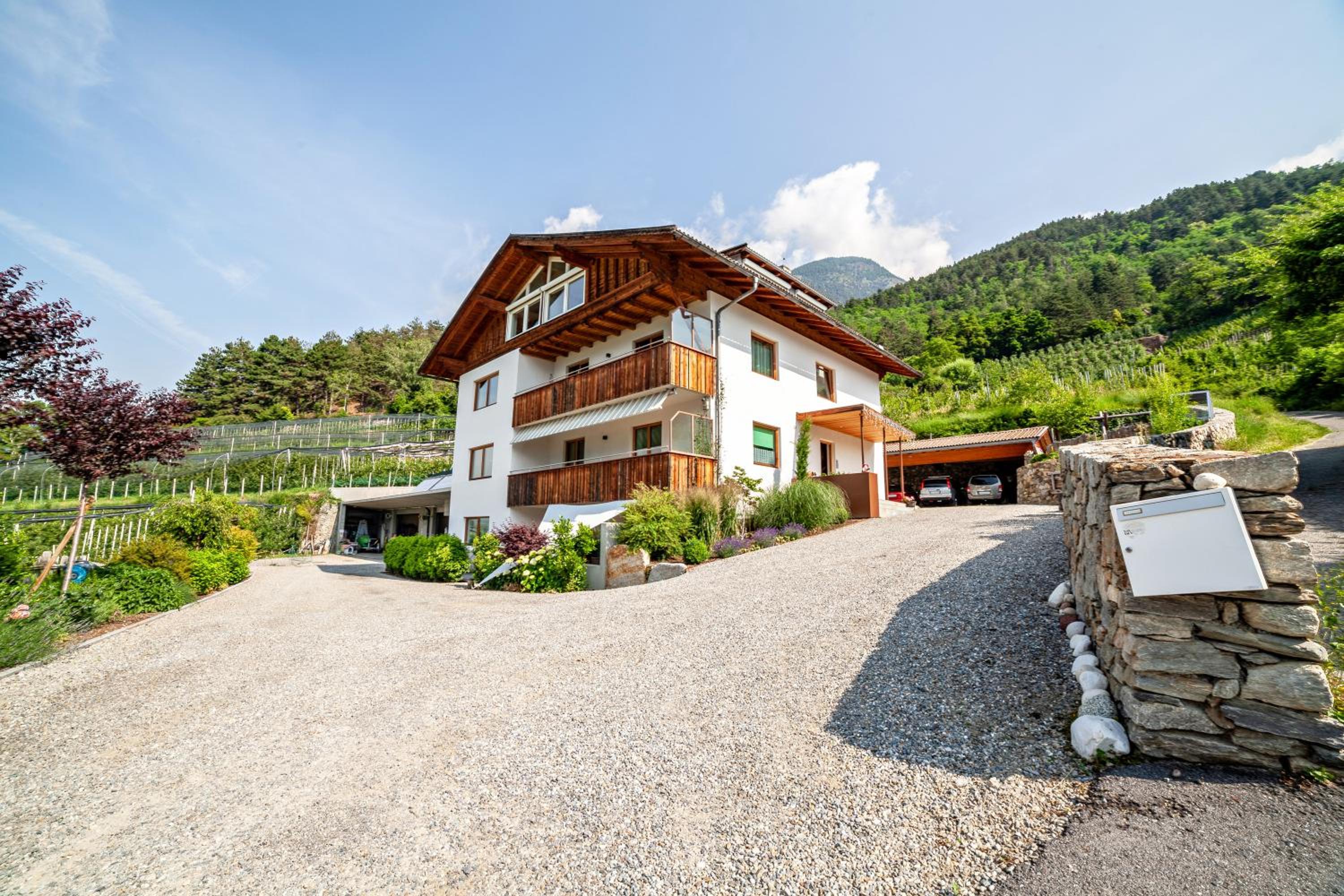 Langstein Wohnung Sonnenblume