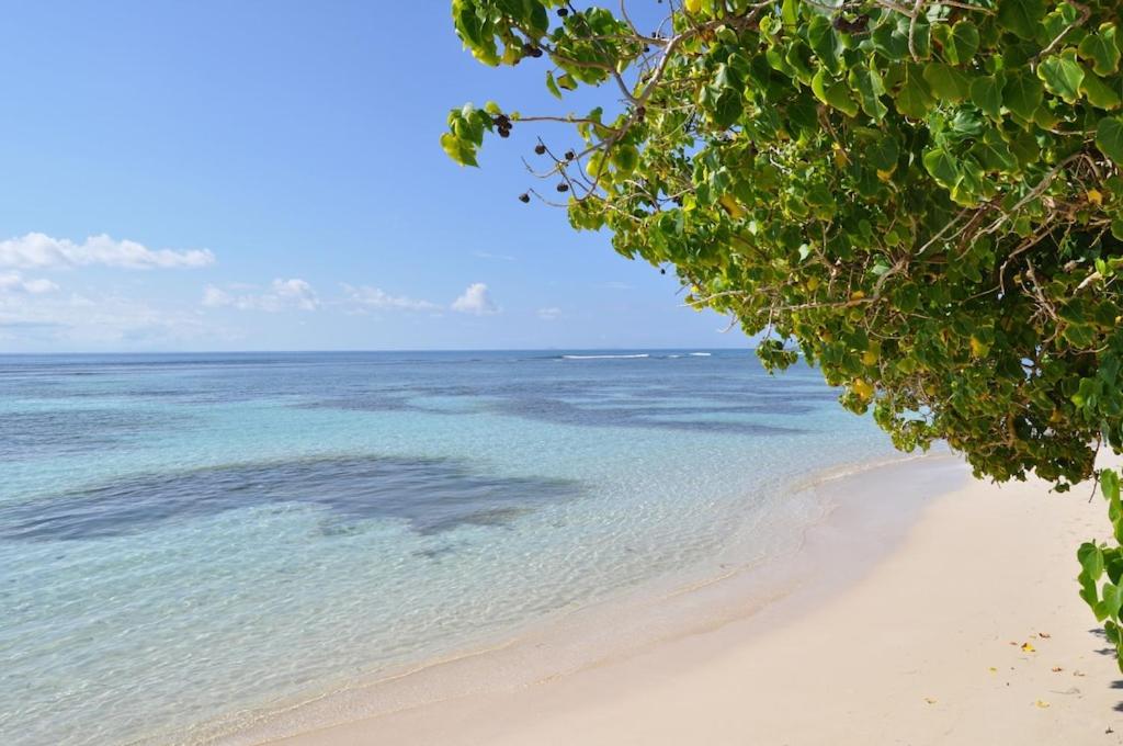 Villa avec piscine privée, calme, proche des plages, à Sainte Anne view 4