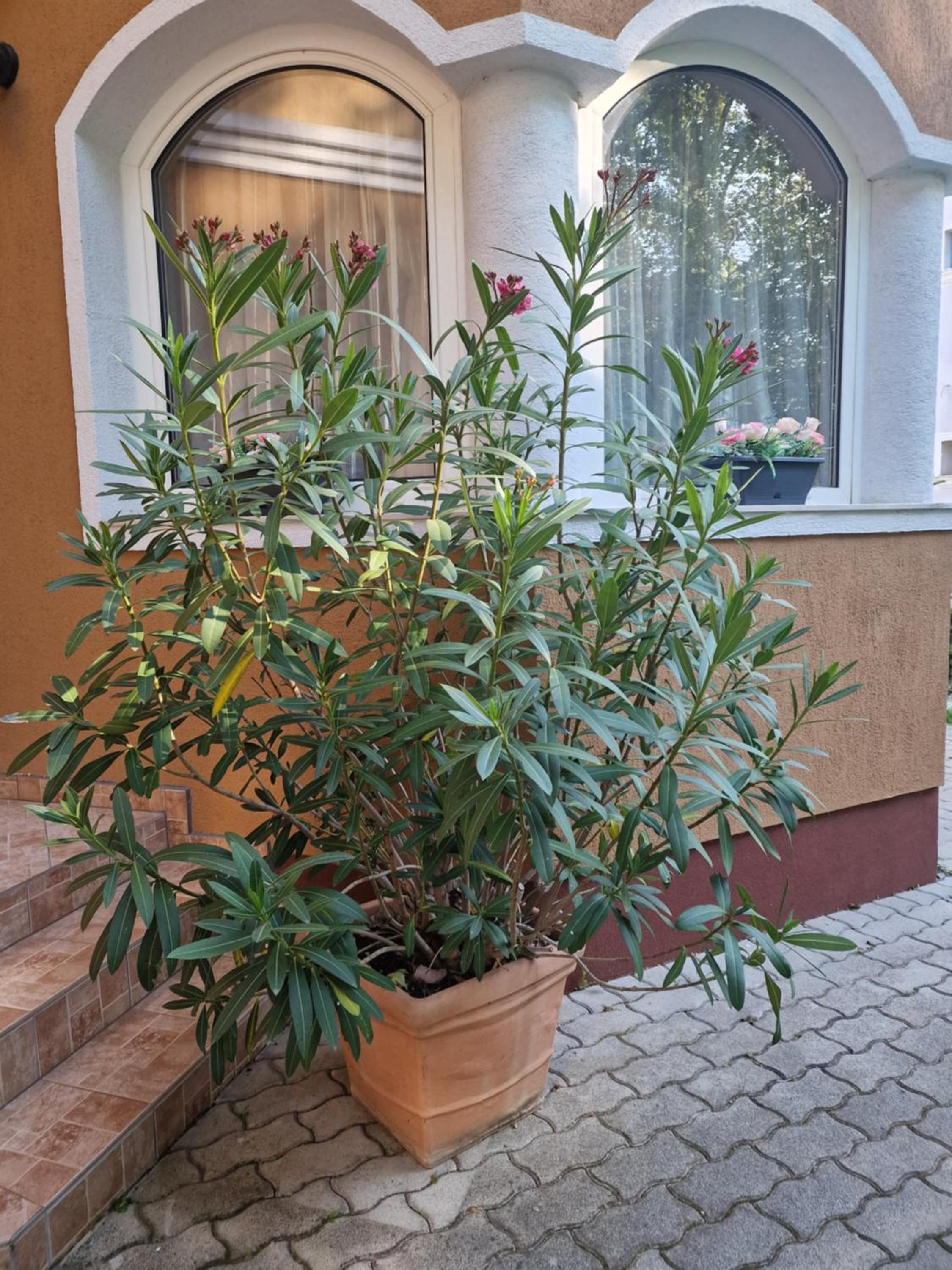 Photo 28