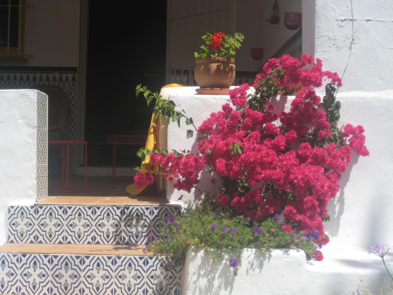 Casa Charms